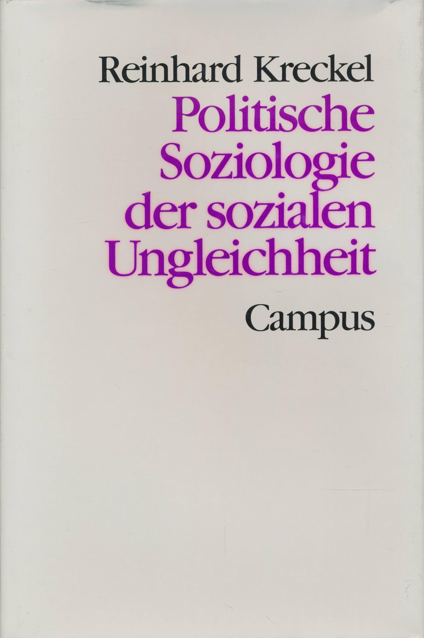 Politische Soziologie der sozialen Ungleichheit. Theorie und Gesellschaft, Band 23 book