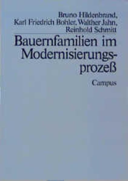 Bauernfamilien im Modernisierungsprozeß - Hildenbrand, Bruno book