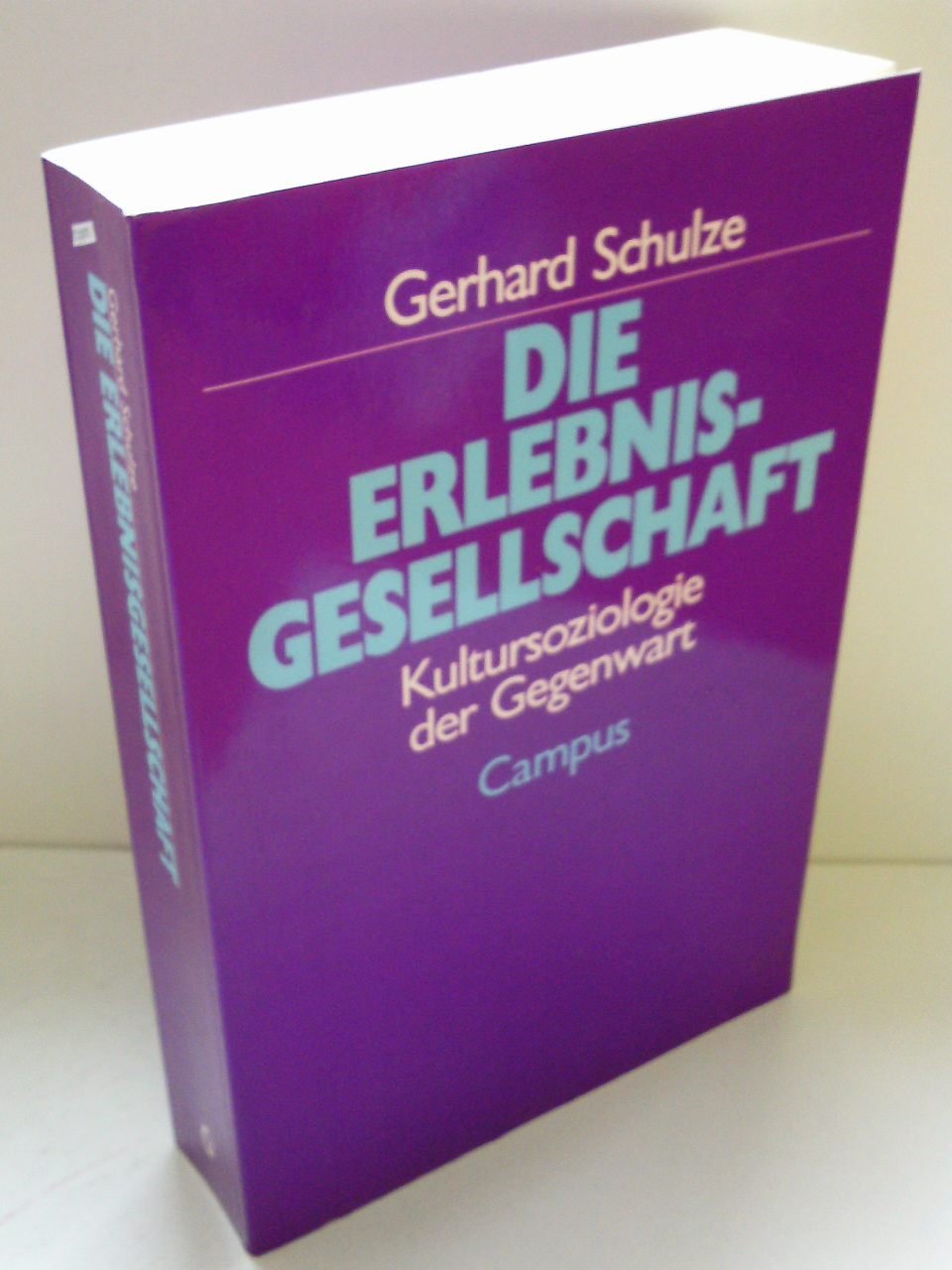 Die Erlebnisgesellschaft: Kultursoziologie der Gegenwart Books