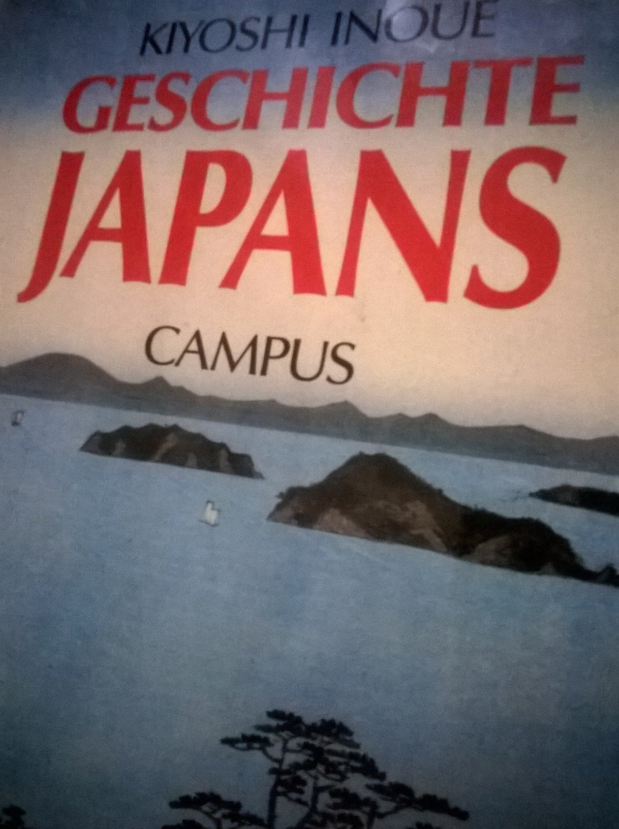 Geschichte Japans Politics & History books
