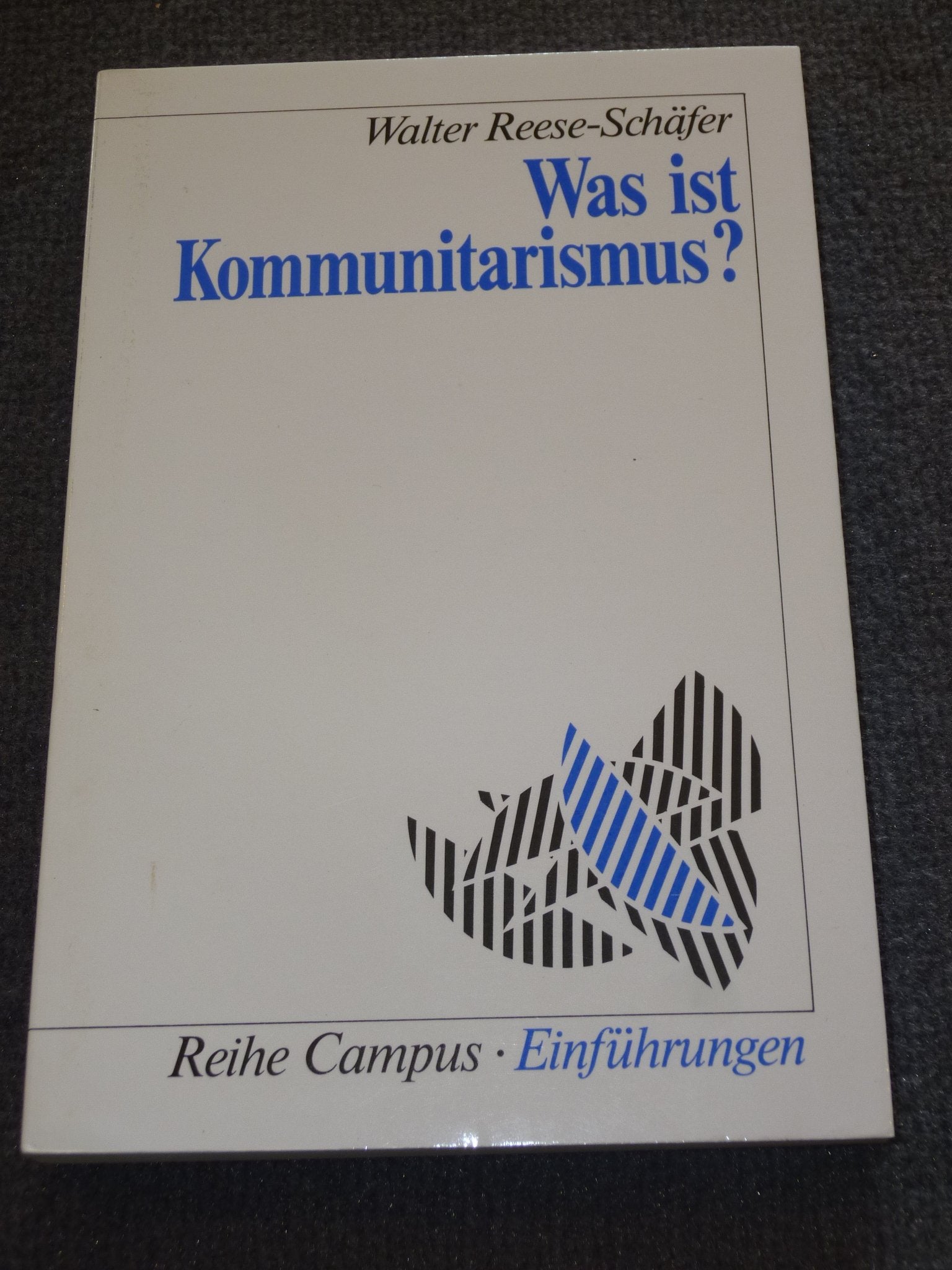 Was ist Kommunitarismus (Campus Einführungen) Politics & History
