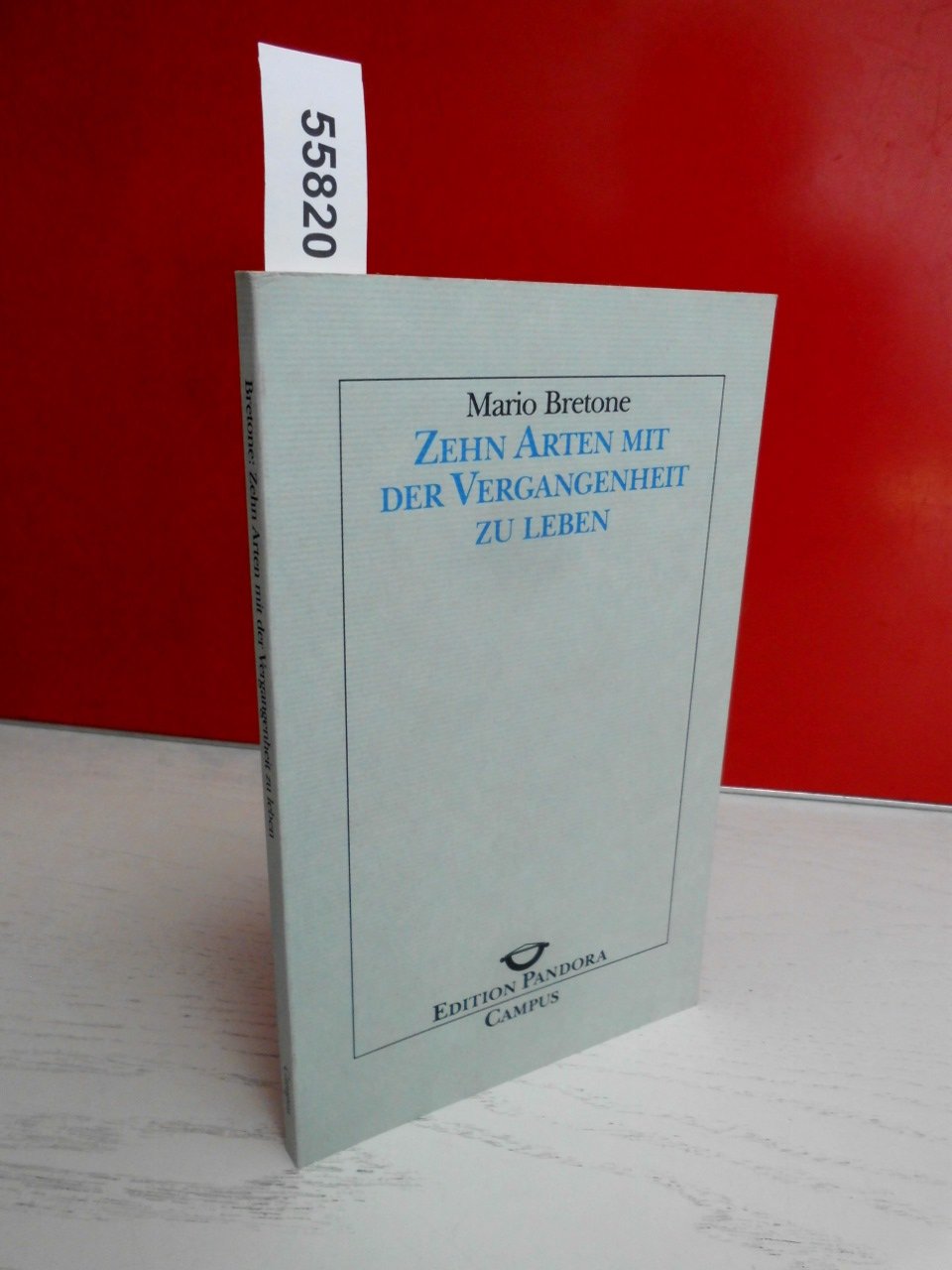Zehn Arten mit der Vergangenheit zu leben (Edition Pandora) Books