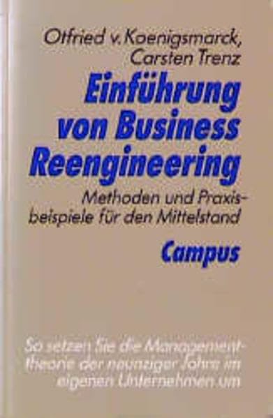 Einführung von Business Reengineering: Methoden und Praxisbeispiele für den Mittelstand Business, Finance & Career