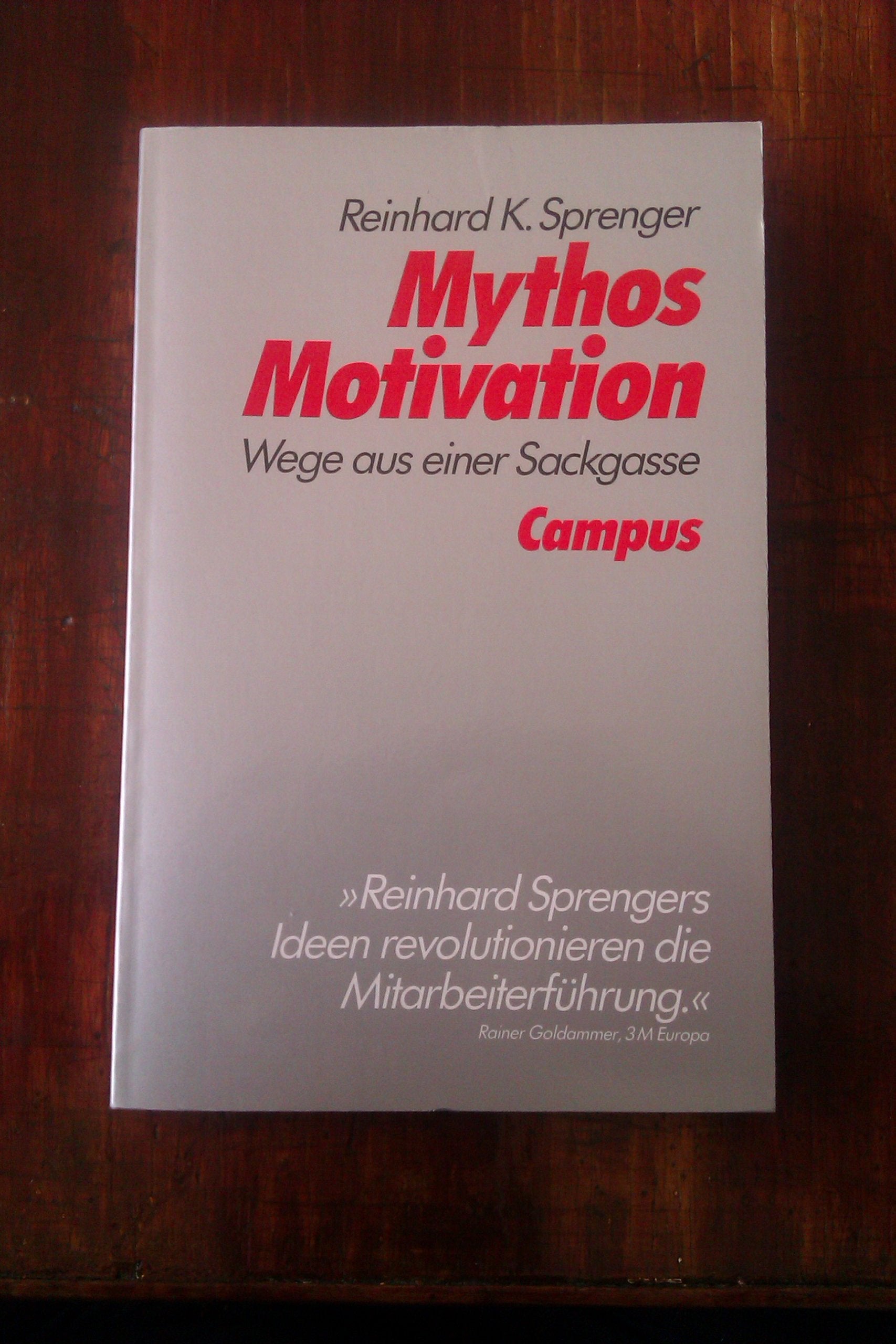 Mythos Motivation: Wege aus einer Sackgasse Business, Finance & Career