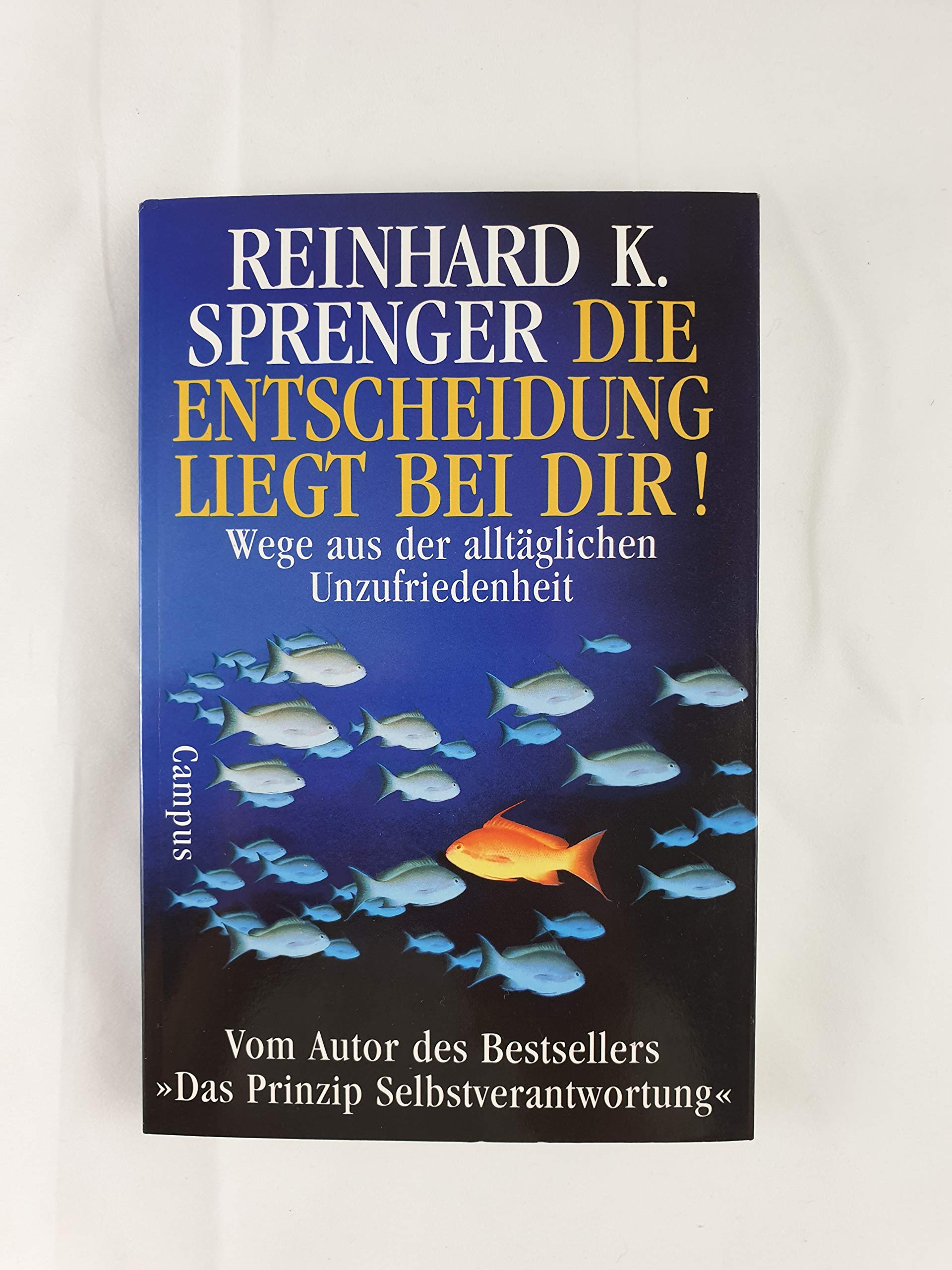 Die Entscheidung liegt bei dir! Wege aus der alltäglichen Unzufriedenheit Lifestyle