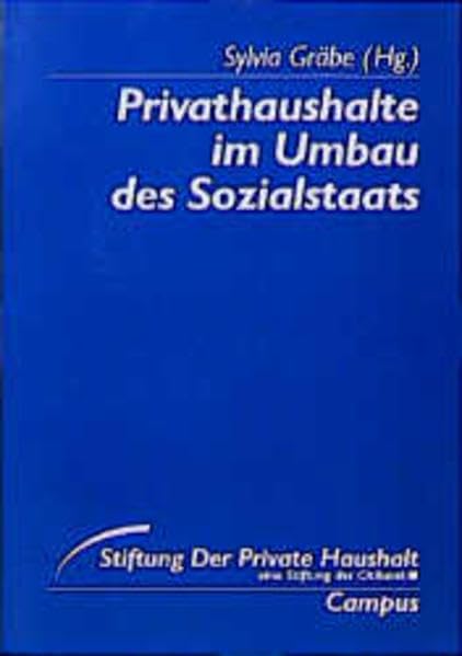 Privathaushalte im Umbau des Sozialstaats (Stiftung »Der Private Haushalt«) Books
