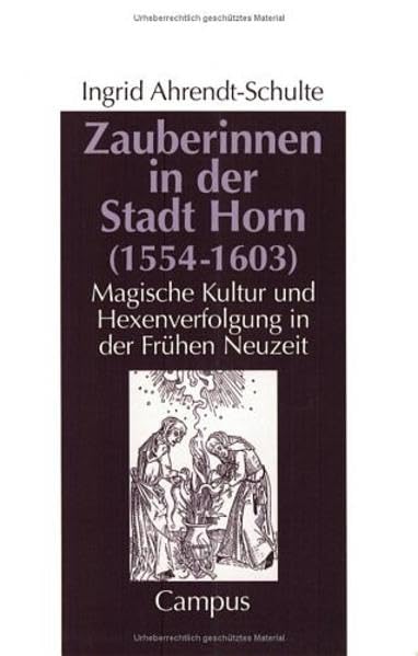 Zauberinnen in der Stadt Horn (1554-1603): Magische Kultur und Hexenverfolgung in der Frühen Neuzeit (Geschichte und Geschlechter) Politics & History