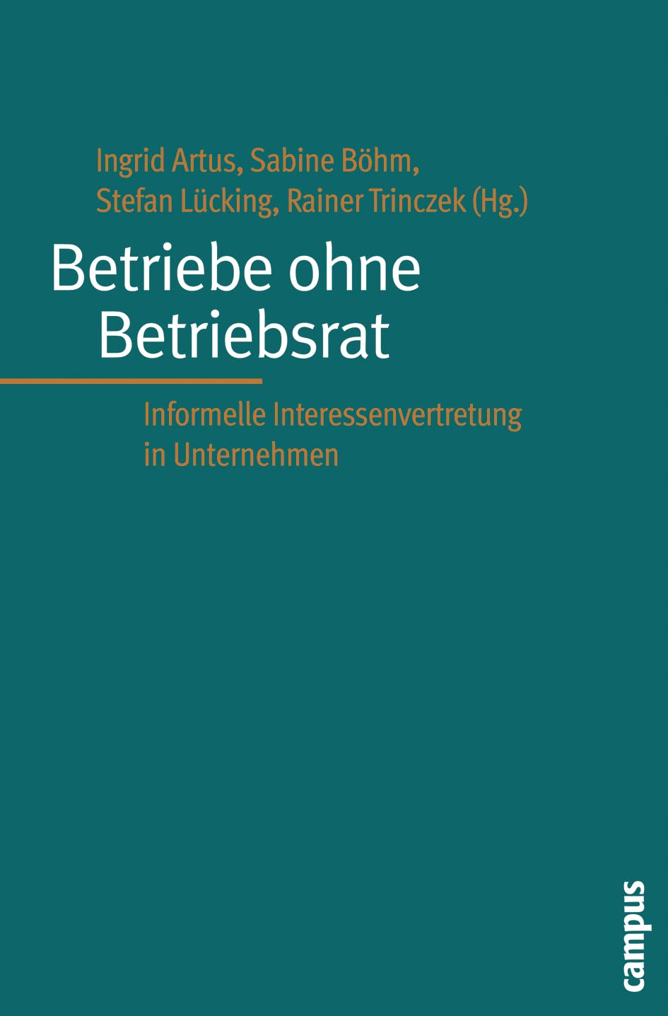 Betriebe ohne Betriebsrat book