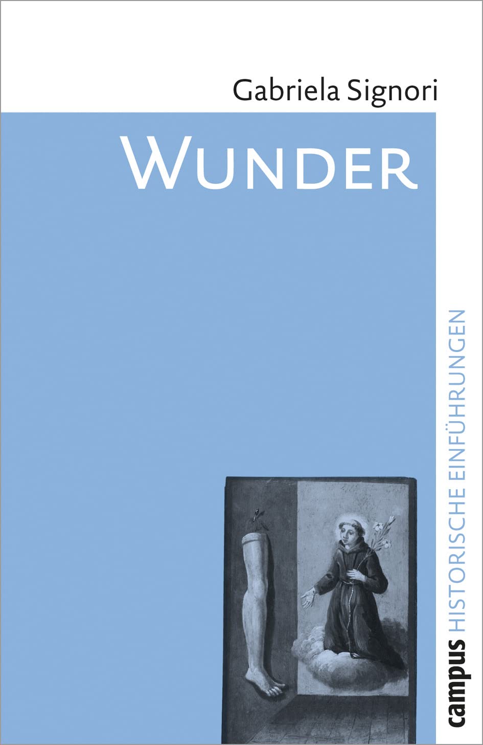 Wunder: Eine historische Einführung (Historische Einführungen, 2) Politics & History