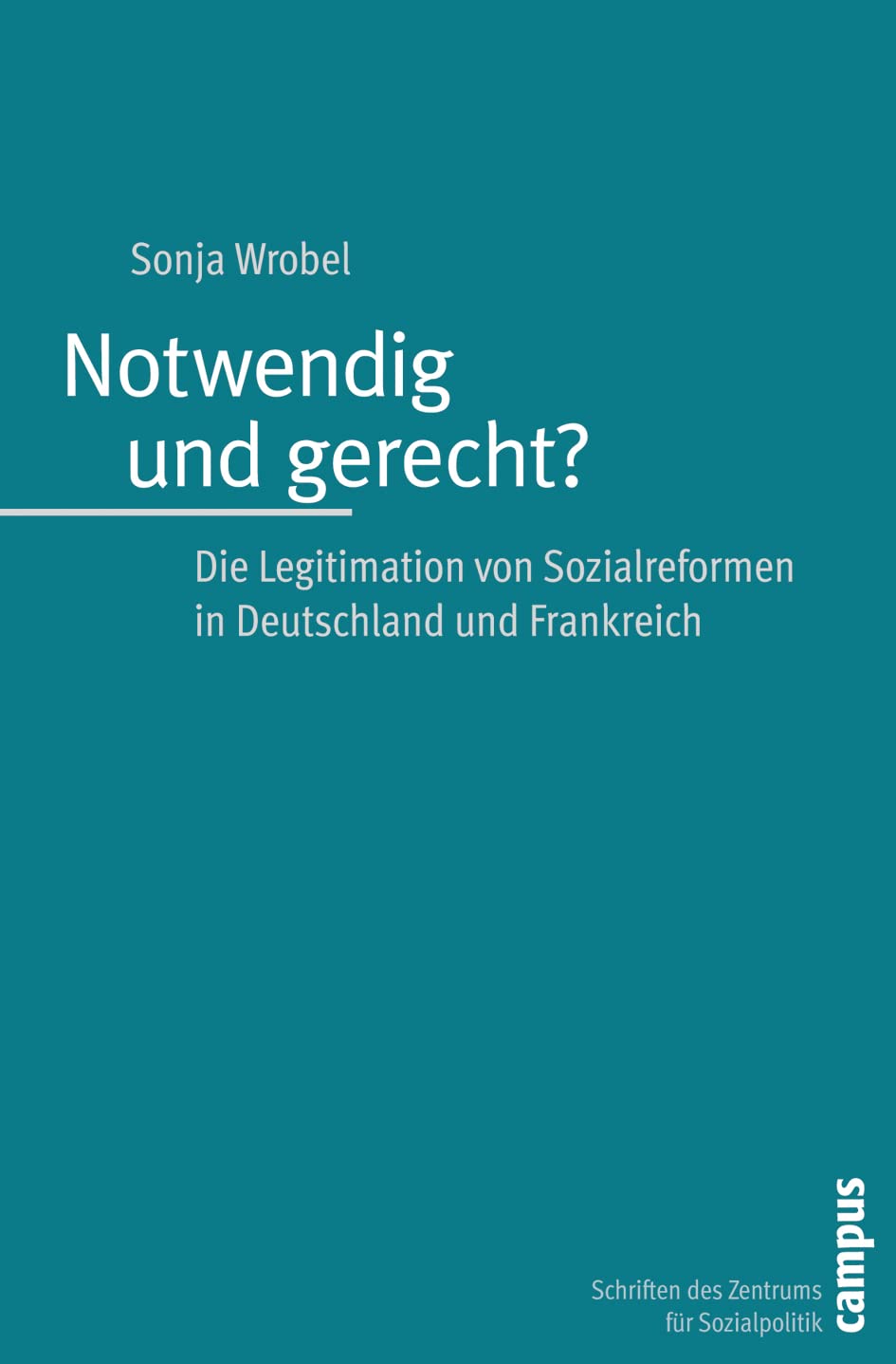 Notwendig und gerecht? book