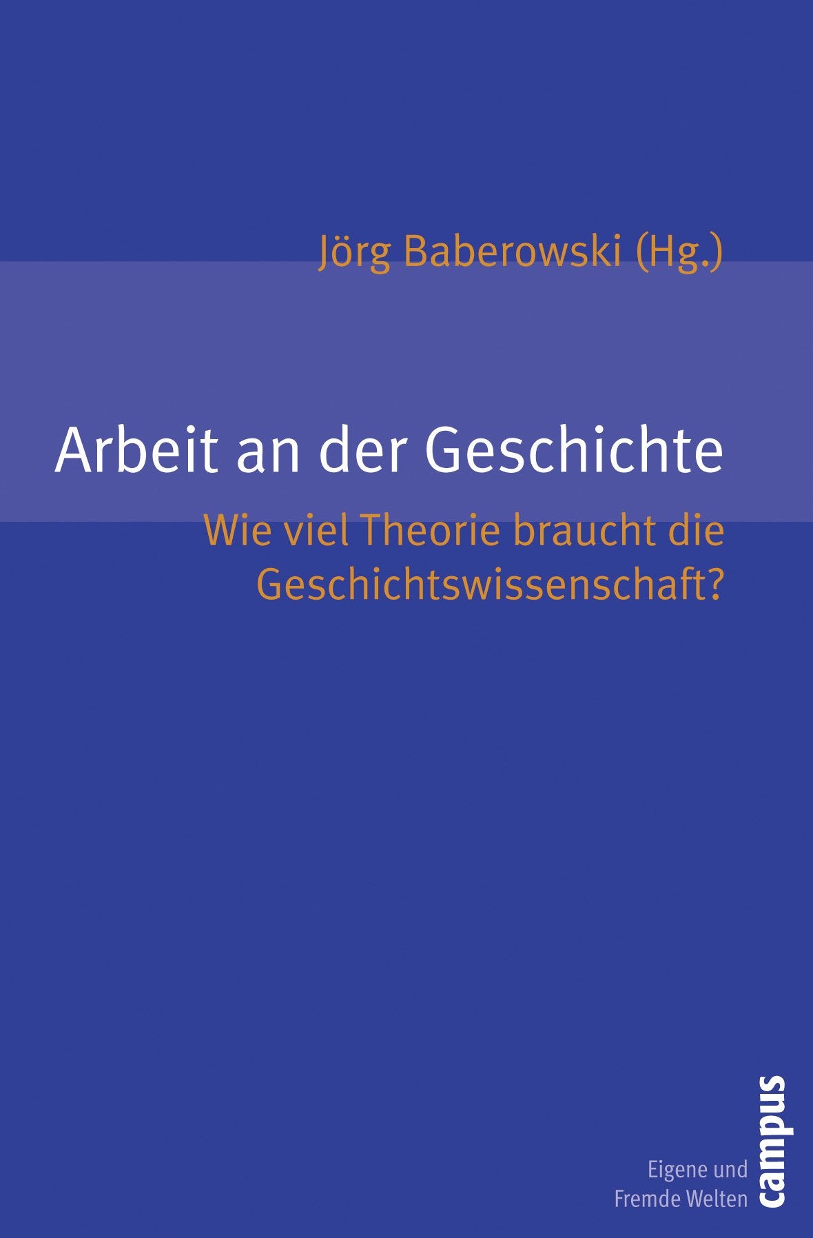 Arbeit an der Geschichte: Wie viel Theorie braucht die Geschichtswissenschaft? (Eigene und Fremde Welten, 18) Politics & History