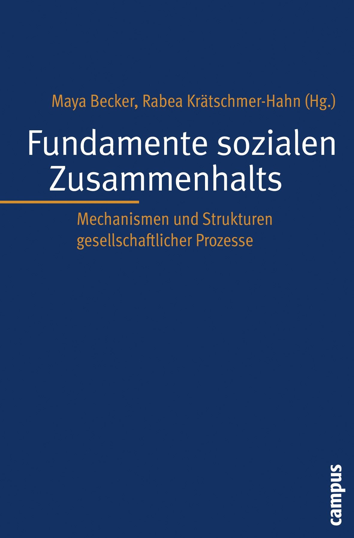 Fundamente sozialen Zusammenhalts: Mechanismen und Strukturen gesellschaftlicher Prozesse Law