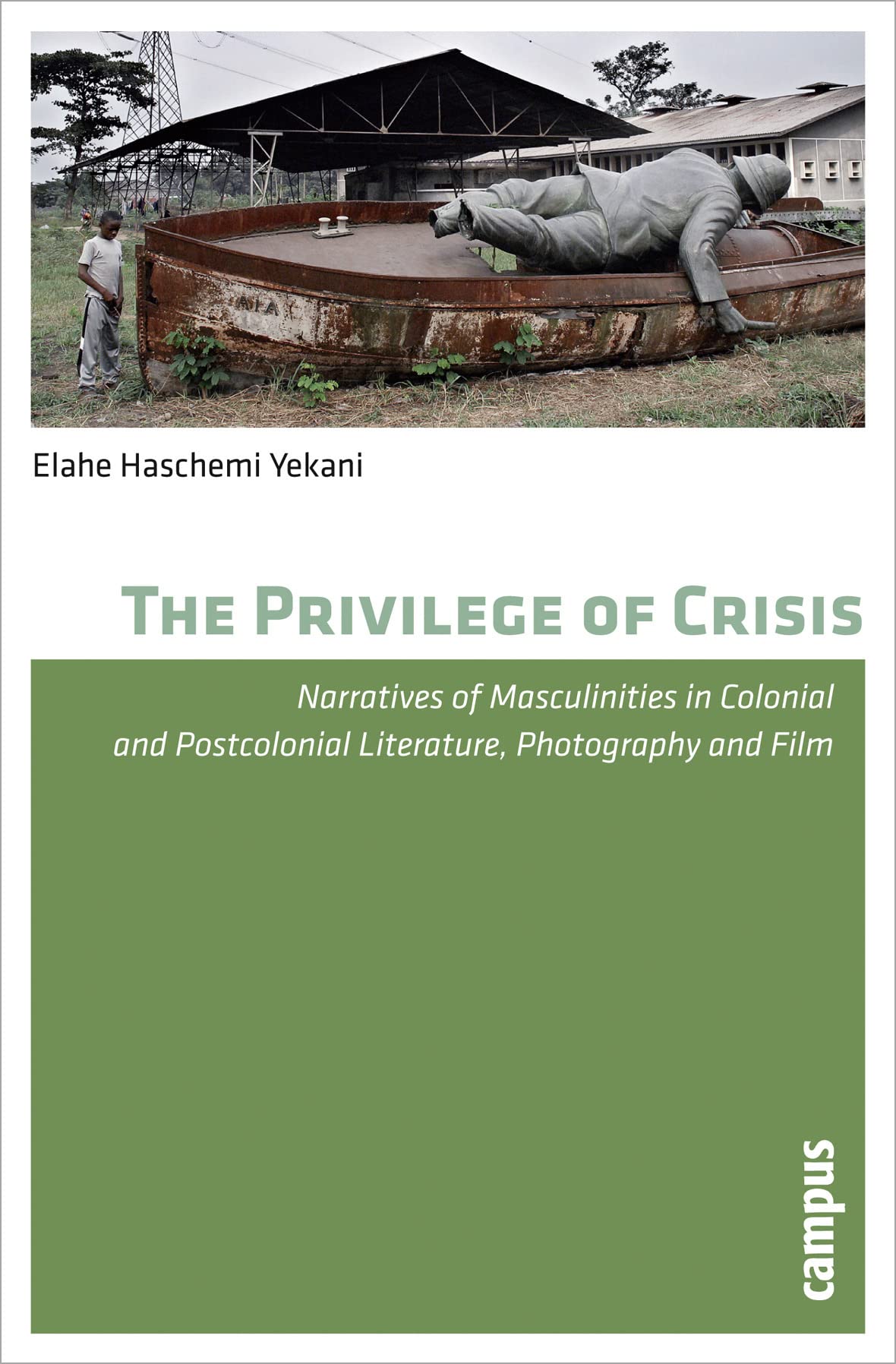 The Privilege of Crisis book
