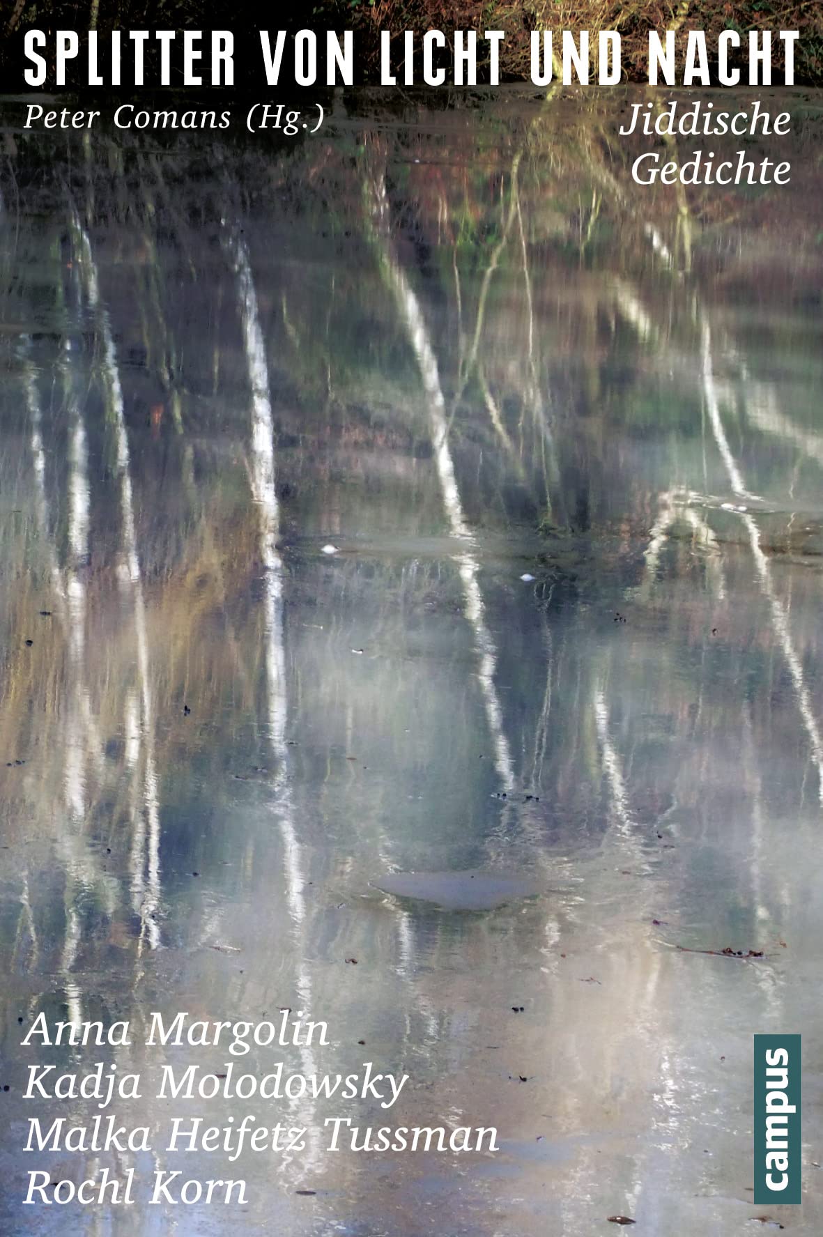 Splitter von Licht und Nacht: Jiddische Gedichte: Anna Margolin, Kadja Molodowsky, Malka Heifetz Tussman und Rochl Korn (Campus Judaica, 28) Poetry