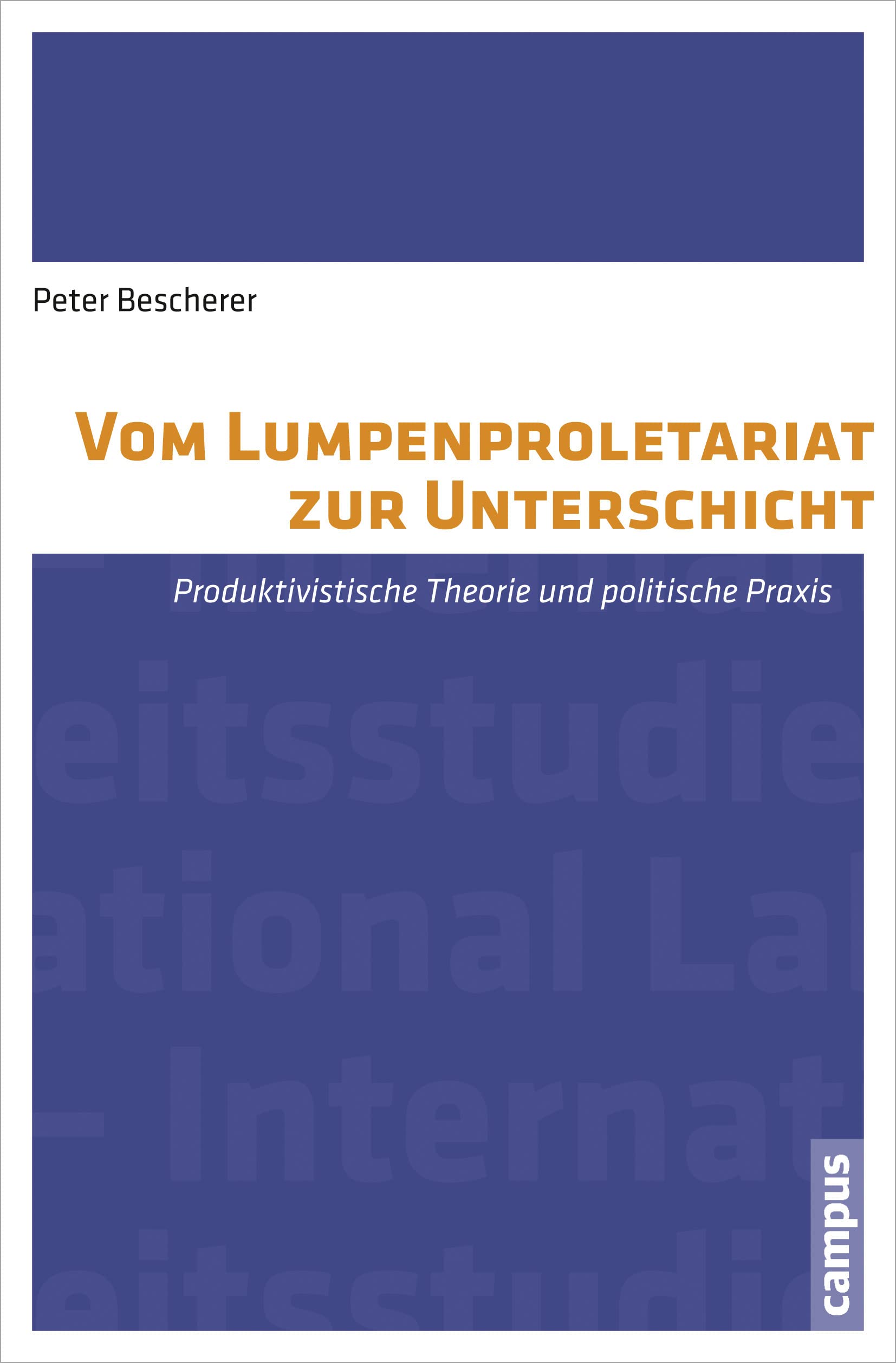 Vom Lumpenproletariat zur Unterschicht: Produktivistische Theorie und politische Praxis book