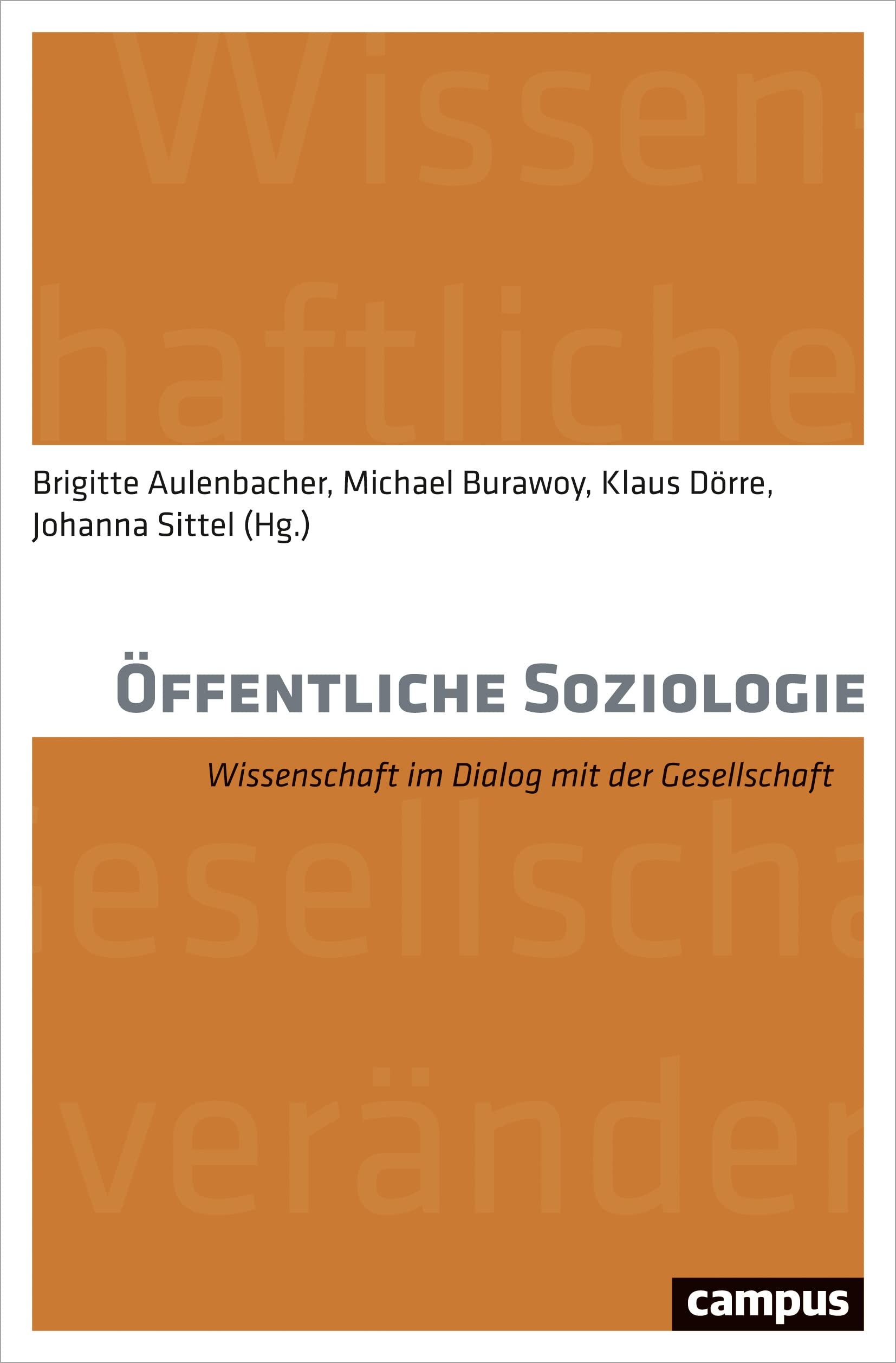 Öffentliche Soziologie book