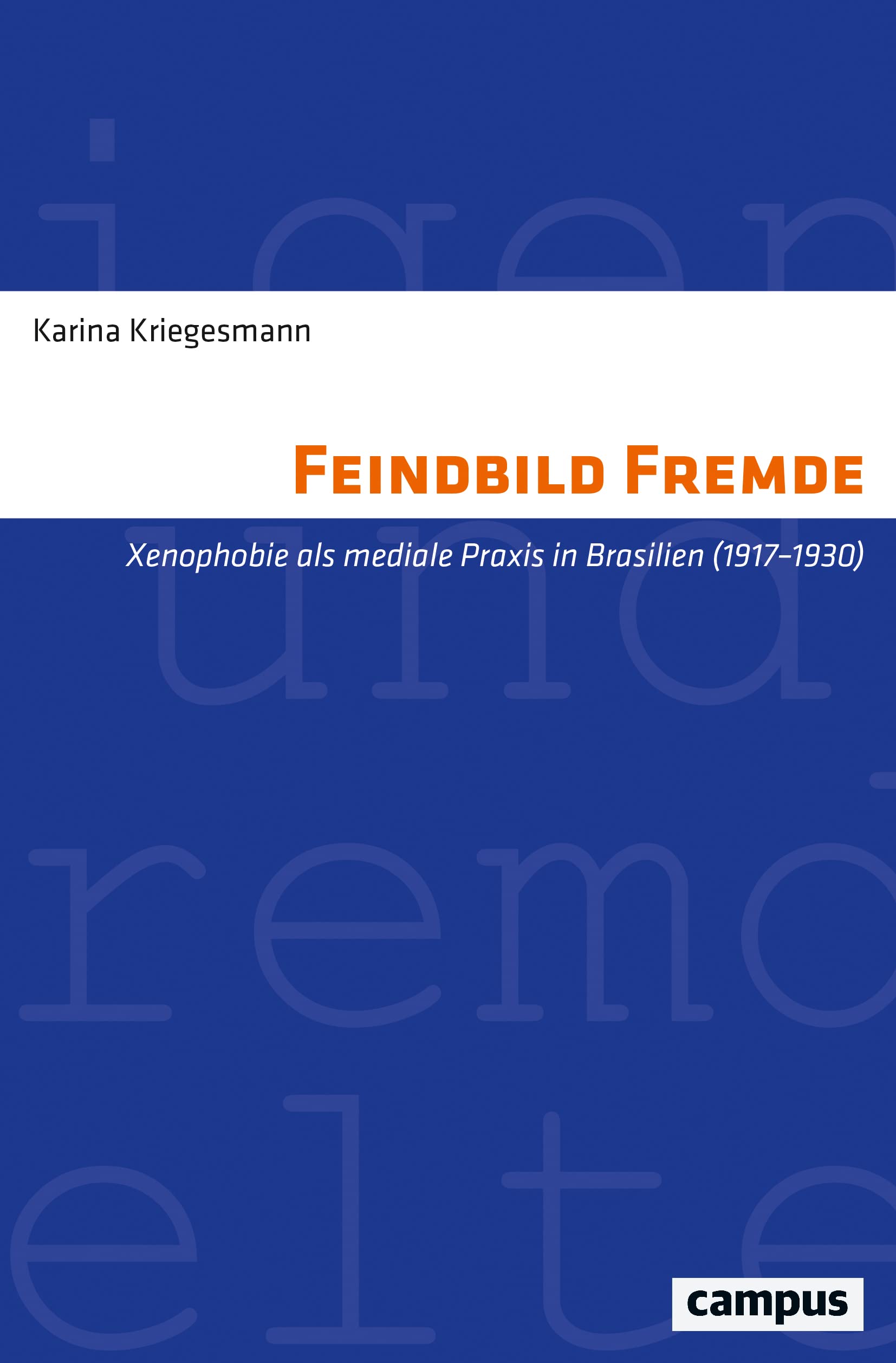 Feindbild Fremde: Xenophobie als mediale Praxis in Brasilien (1917–1930) (Eigene und Fremde Welten, 38) Politics & History