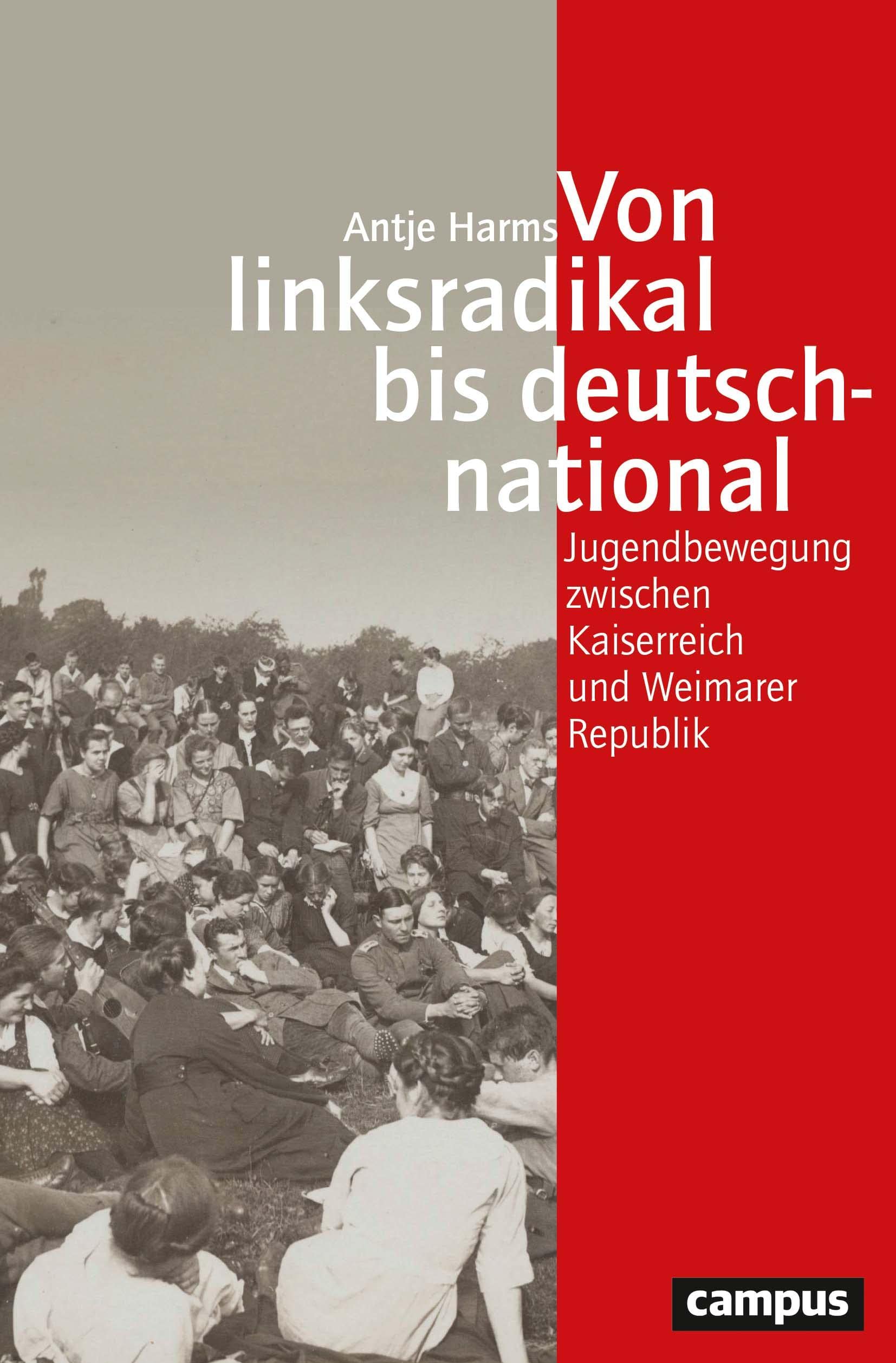 Von linksradikal bis deutschnational: Jugendbewegung zwischen Kaiserreich und Weimarer Republik (Geschichte und Geschlechter, 76) German history