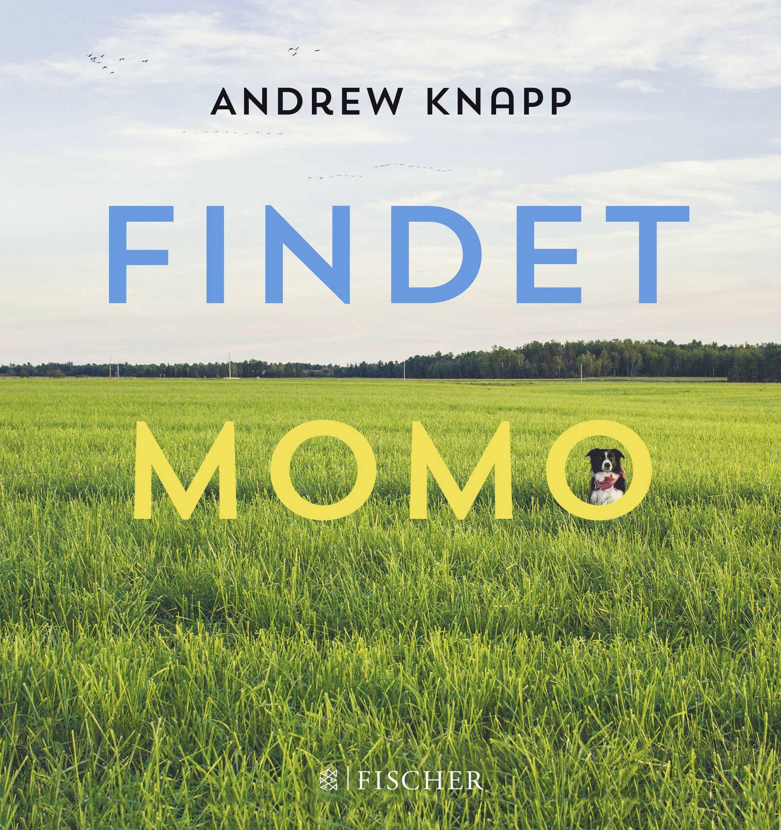 Findet Momo Living & Furnishing