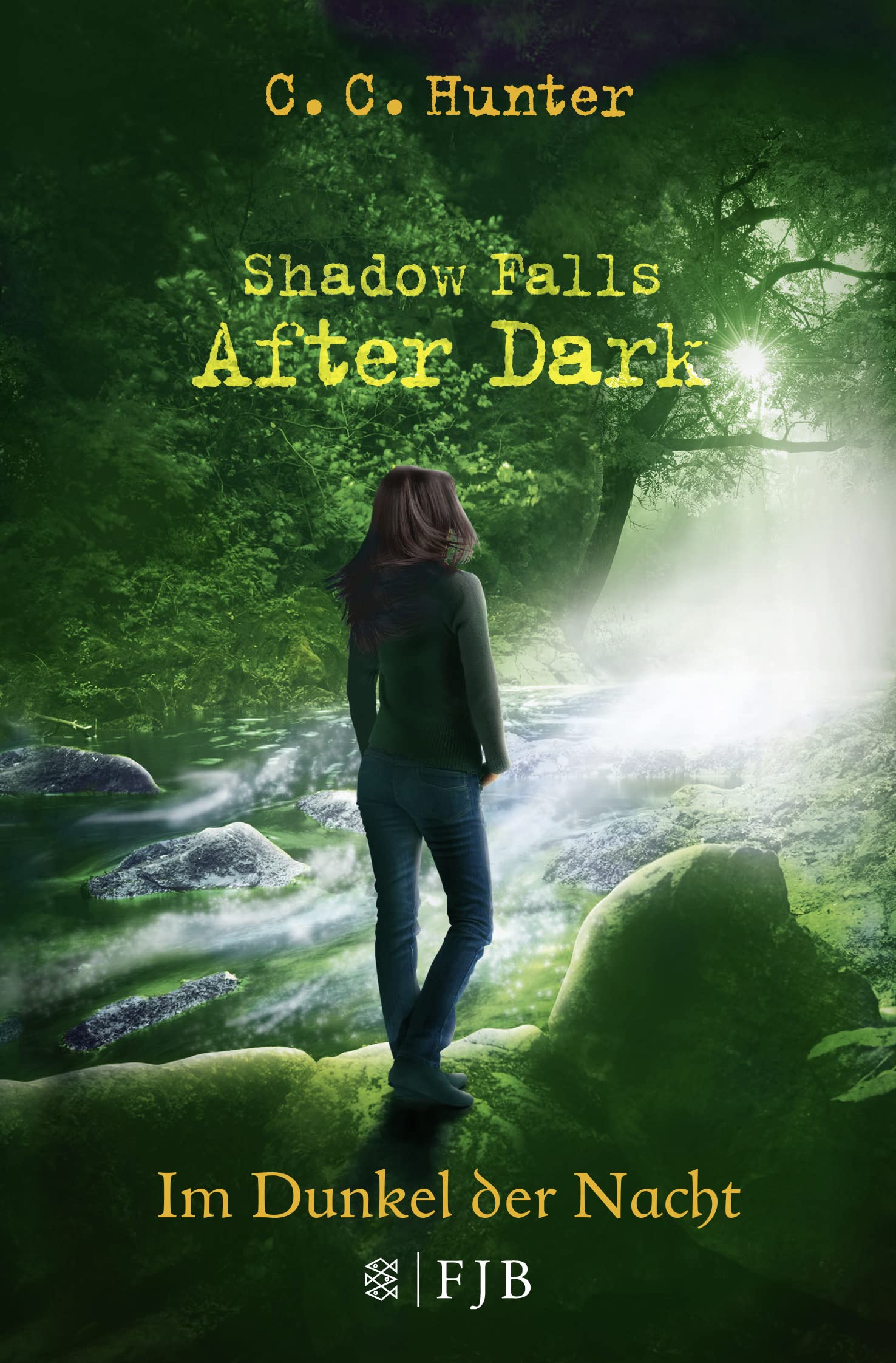 Shadow Falls - After Dark 03. Im Dunkel der Nacht Contemporary literature