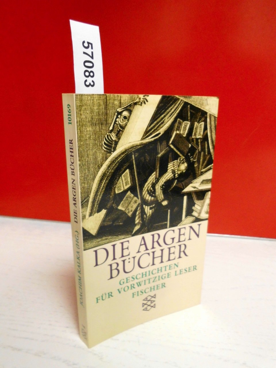Die argen Bücher: Geschichten für vorwitzige Leser Books