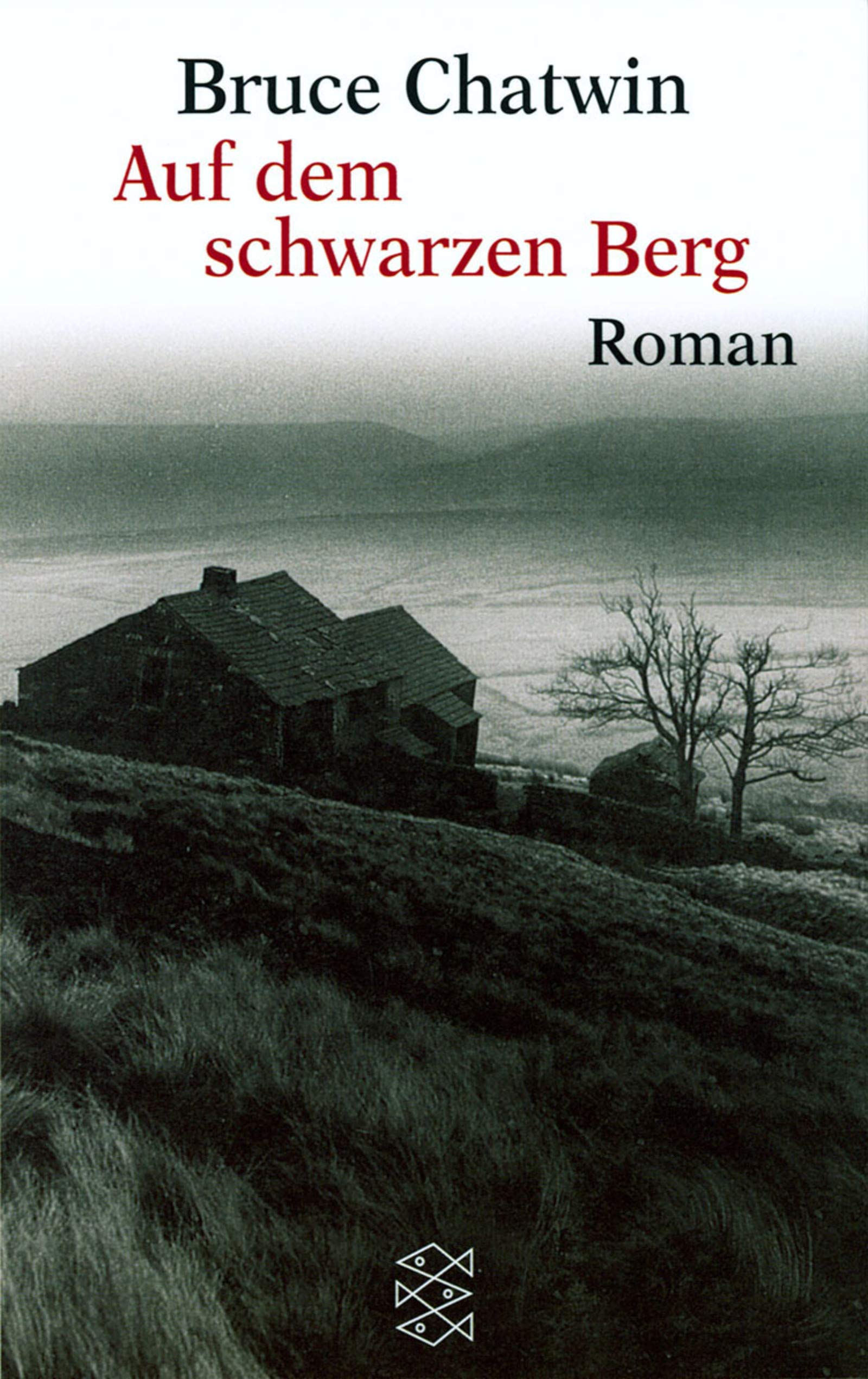 Auf dem schwarzen Berg: Roman (Fischer Taschenbücher) Contemporary literature
