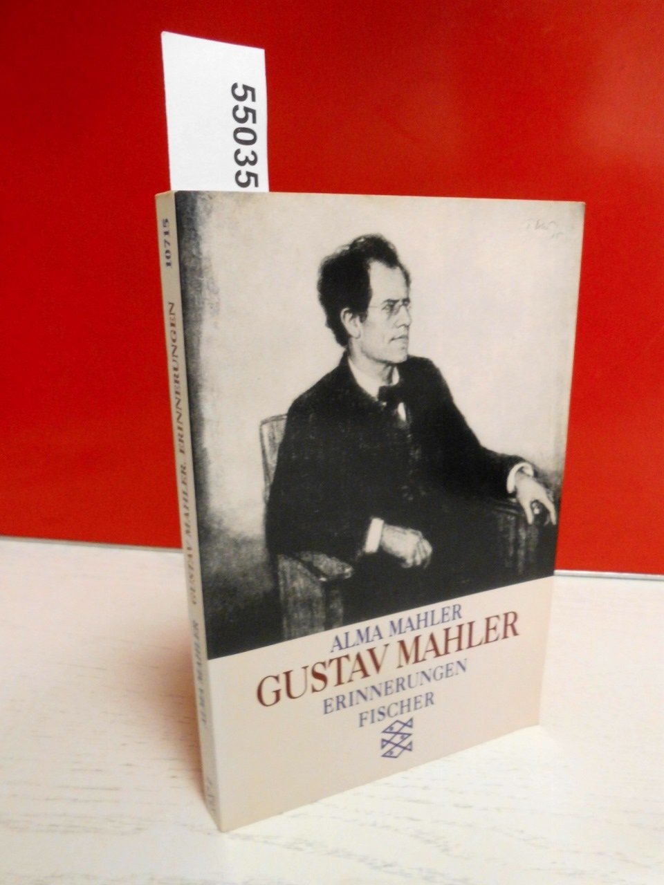 Gustav Mahler: Erinnerungen Memories