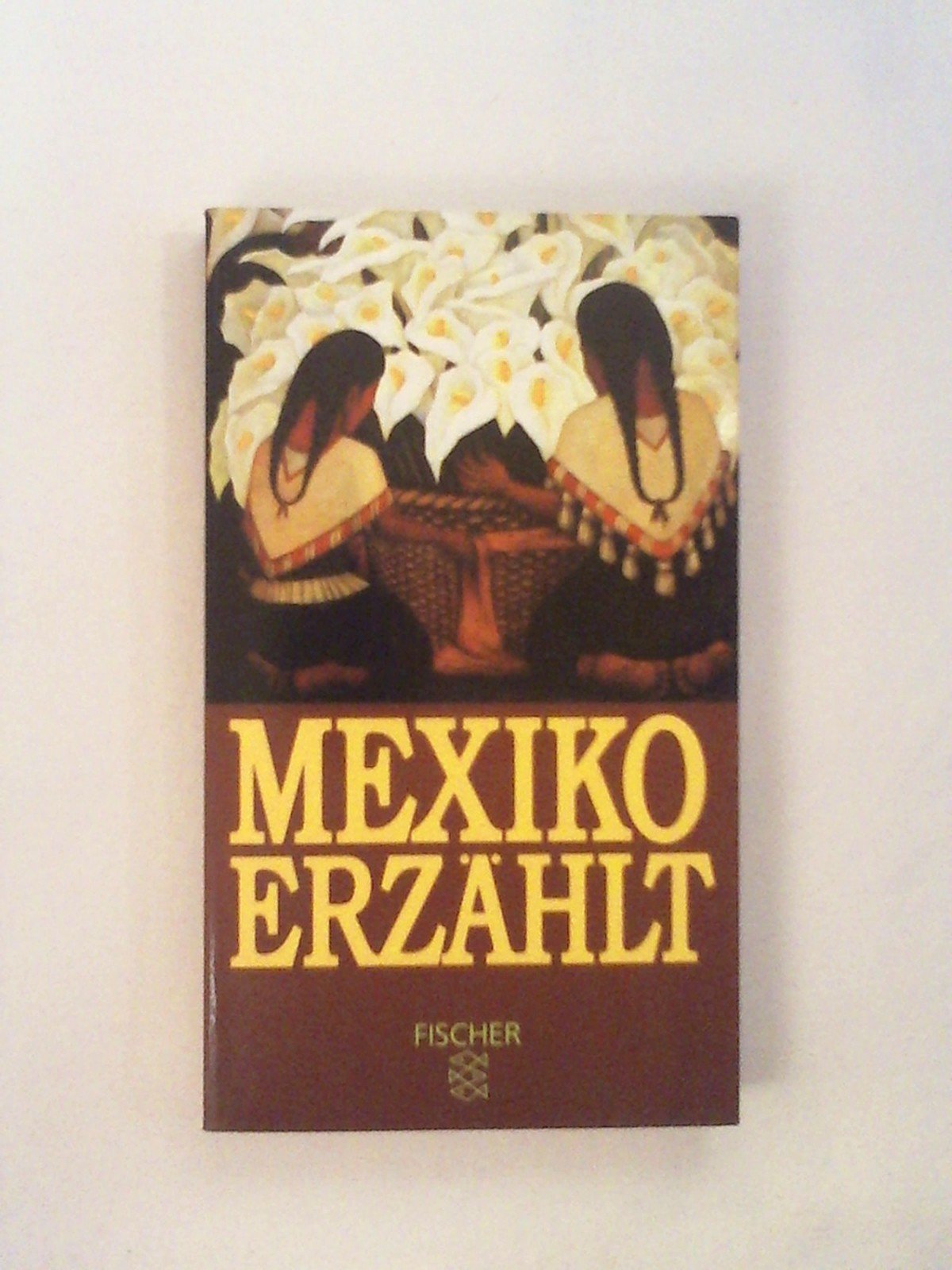 Mexiko erzählt Books