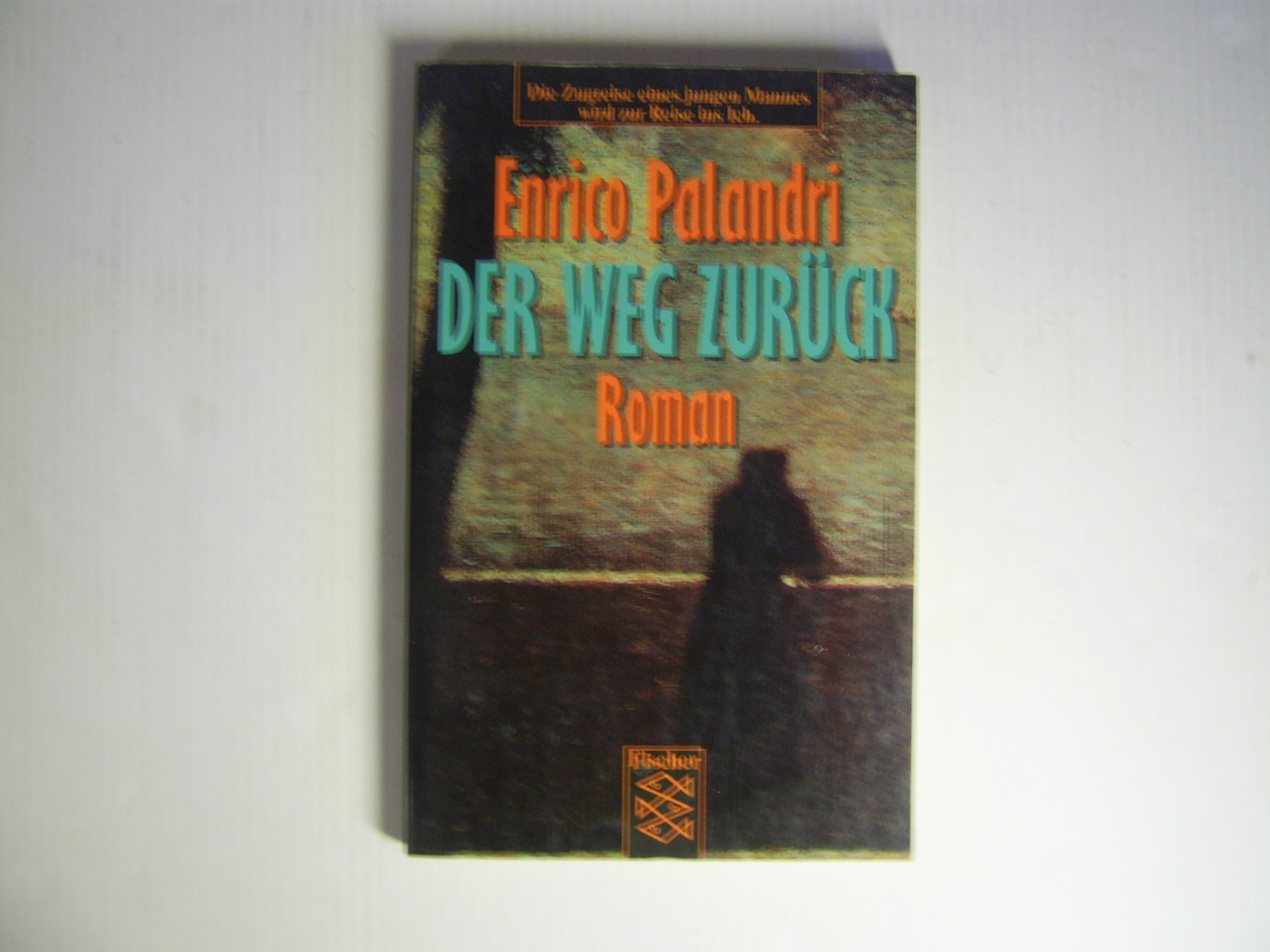 Der Weg zurück Contemporary literature
