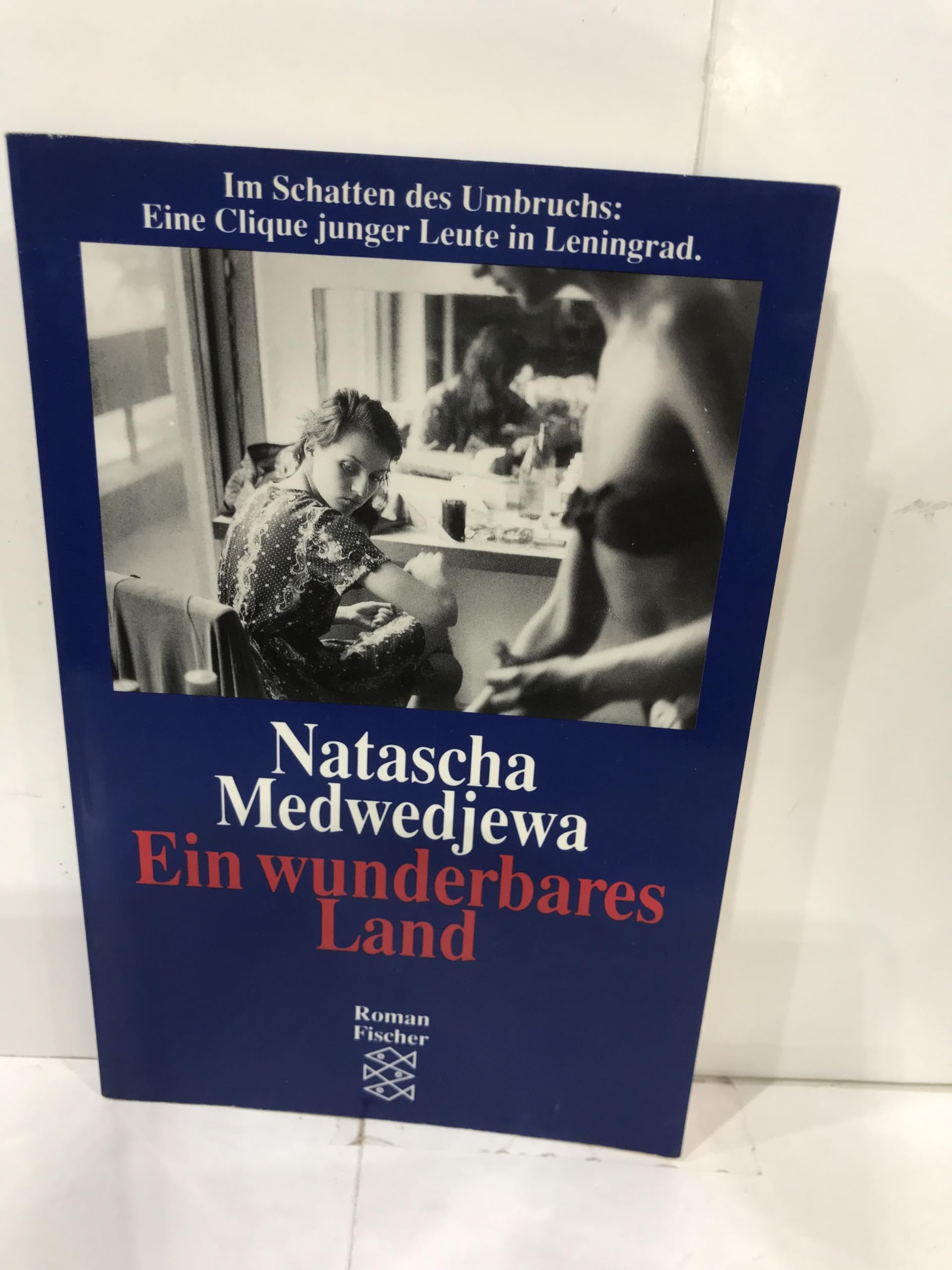 Ein wunderbares Land: Roman Books