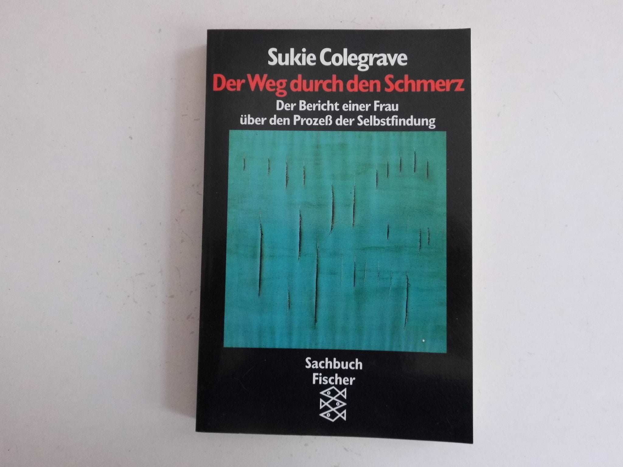 Der Weg durch den Schmerz: Seelenstärke durch Überwindung der schmerzhaften Erfahrungen des Lebens Self-help