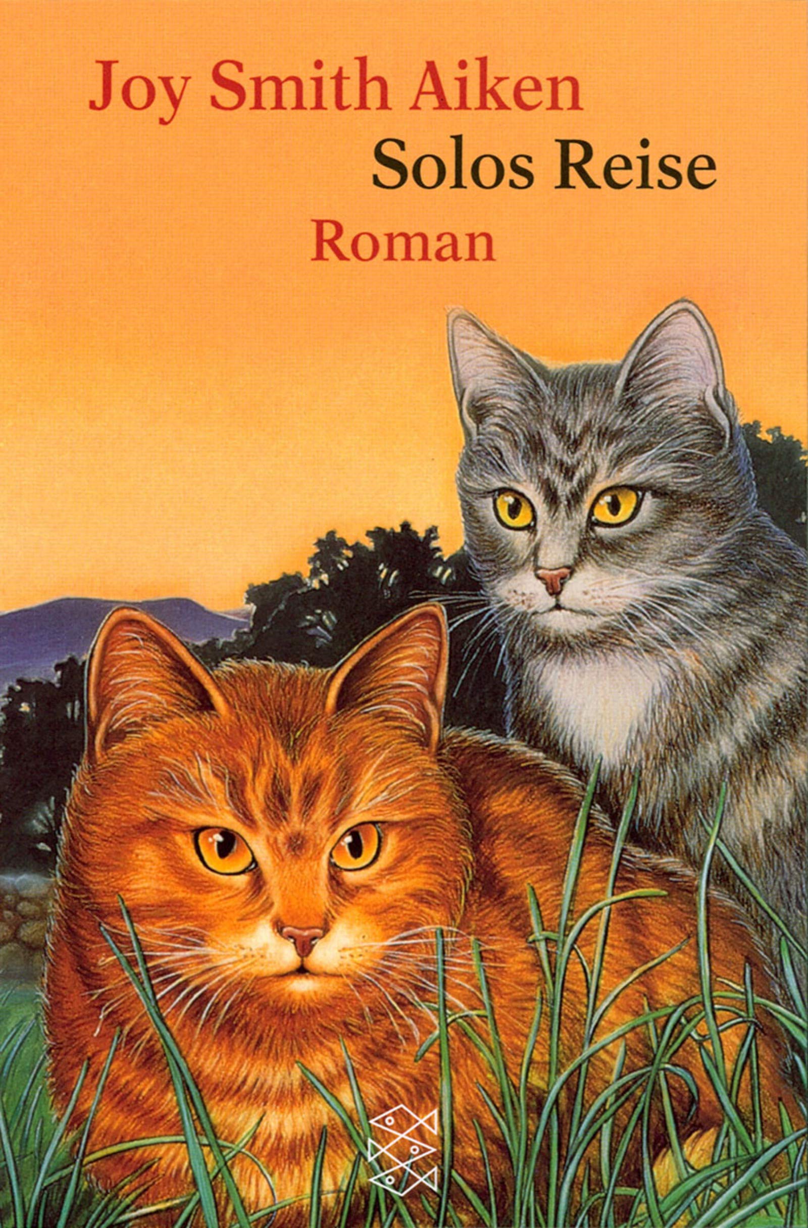 Solos Reise: Roman (Fischer Taschenbücher) Fiction
