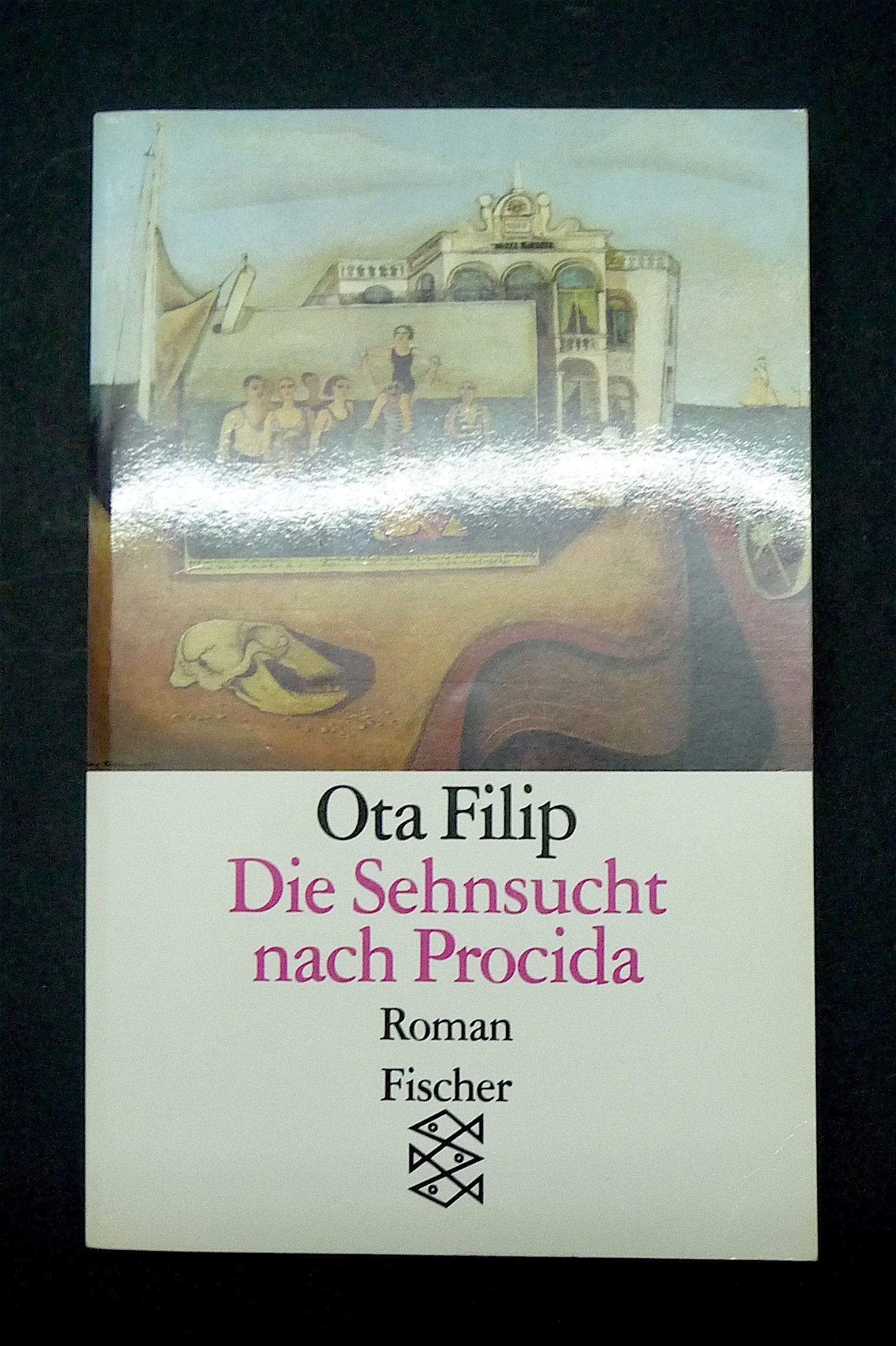Die Sehnsucht nach Procida: Roman Books
