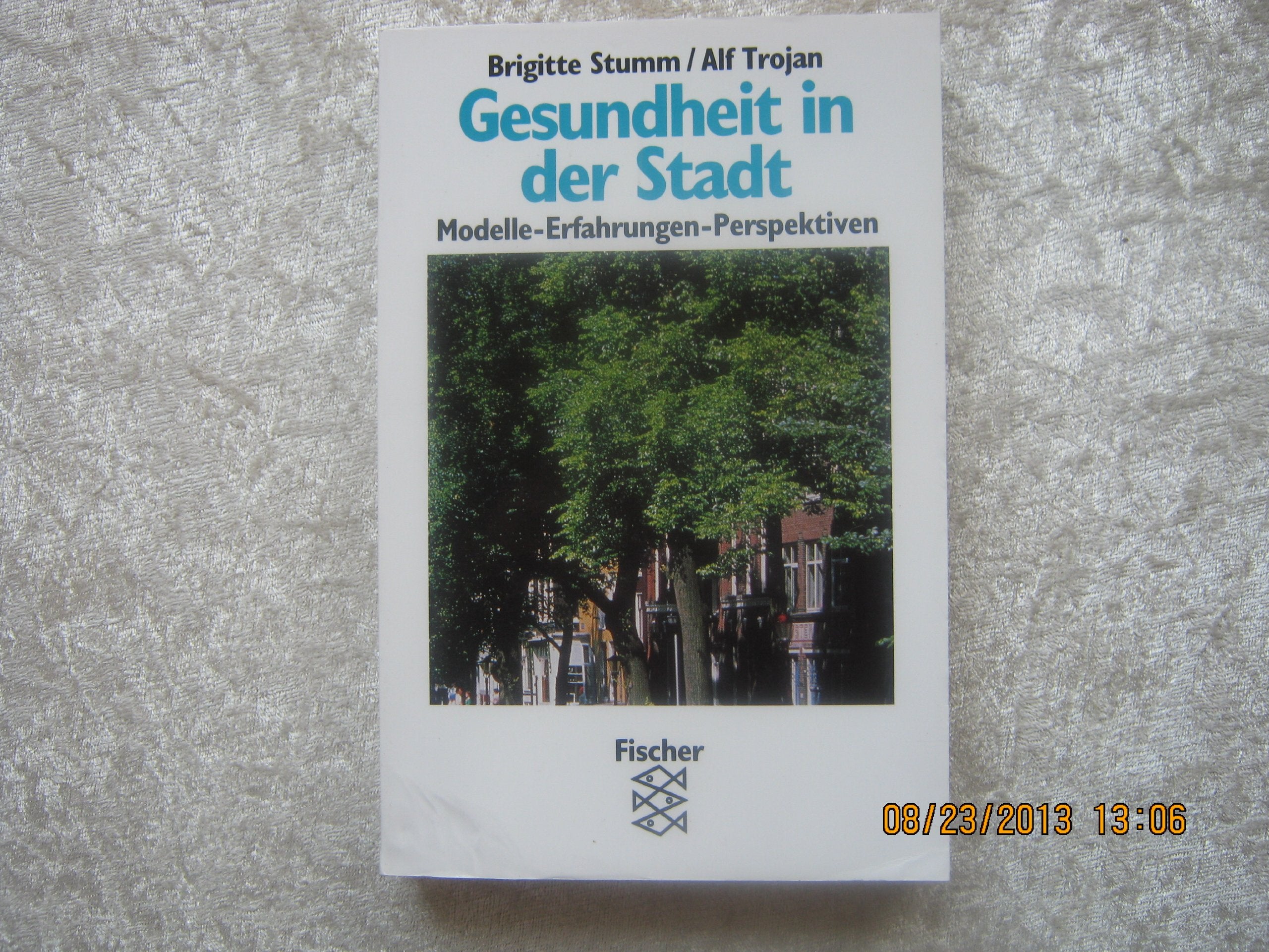 Gesundheit in der Stadt: Modelle - Erfahrungen - Perspektiven Books
