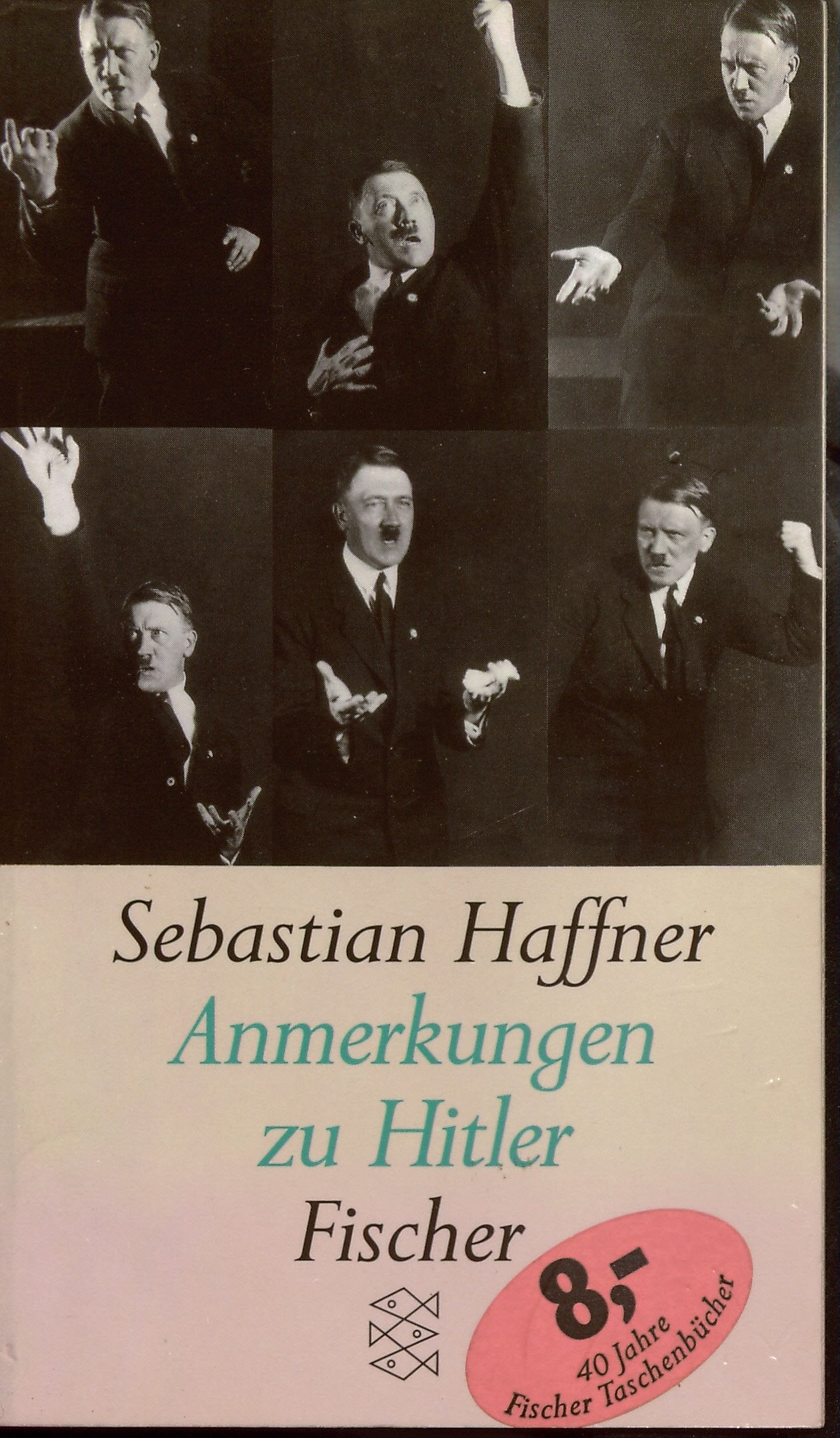 Anmerkungen zu Hitler German history