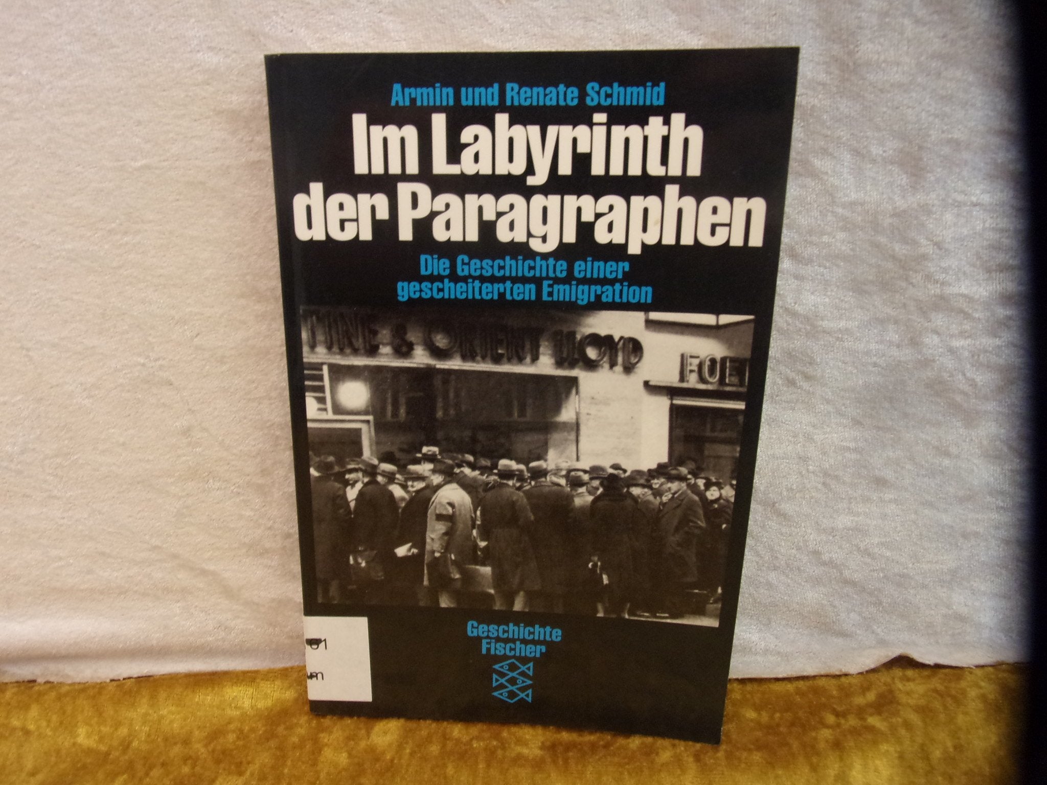 Im Labyrinth der Paragraphen. Die Geschichte einer gescheiterten Emigration Books