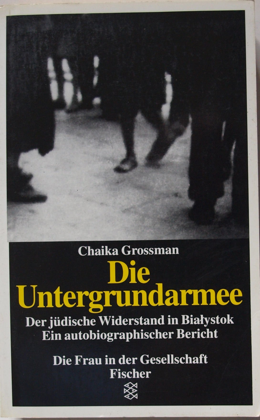 Die Untergrundarmee. Der jüdische Widerstand in Bialystok. Ein autobiographischer Bericht Politics & Society