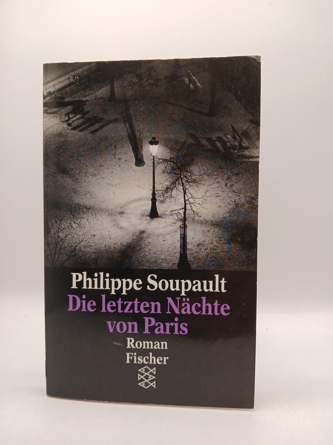 Die letzten Nächte von Paris: Roman Contemporary literature