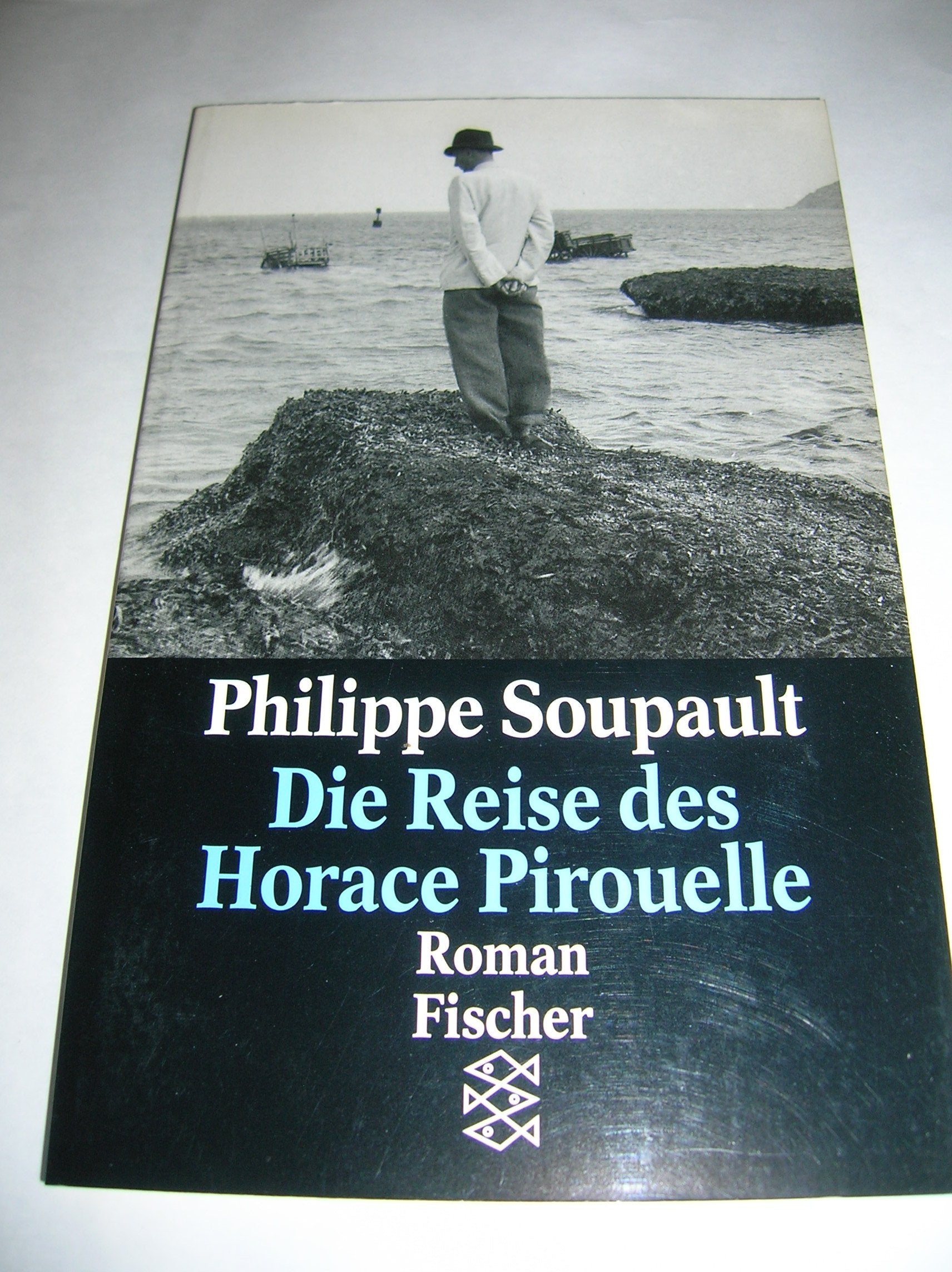 Die Reise des Horace Pirouelle: Roman Contemporary literature