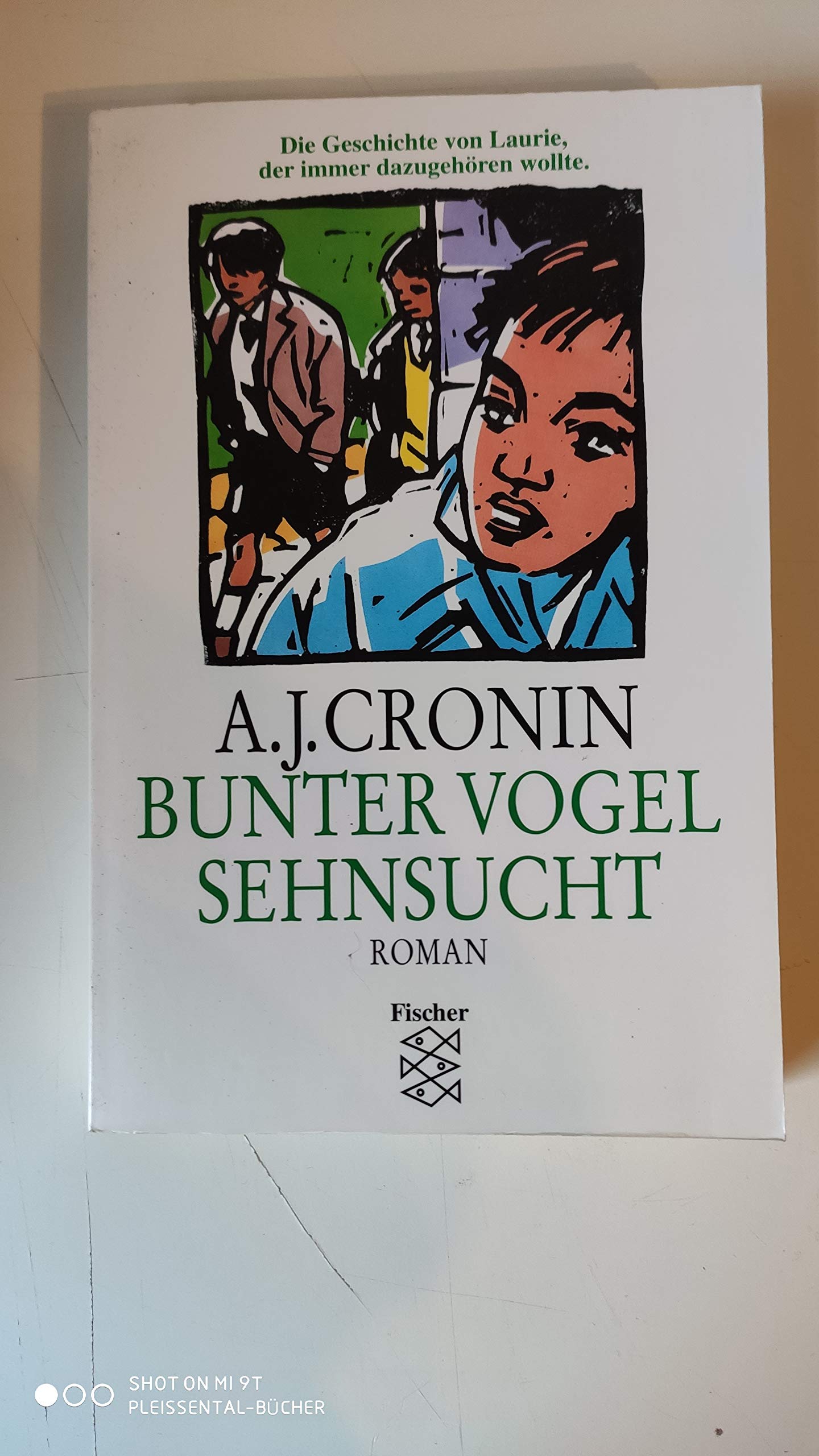 Bunter Vogel Sehnsucht: Roman Books
