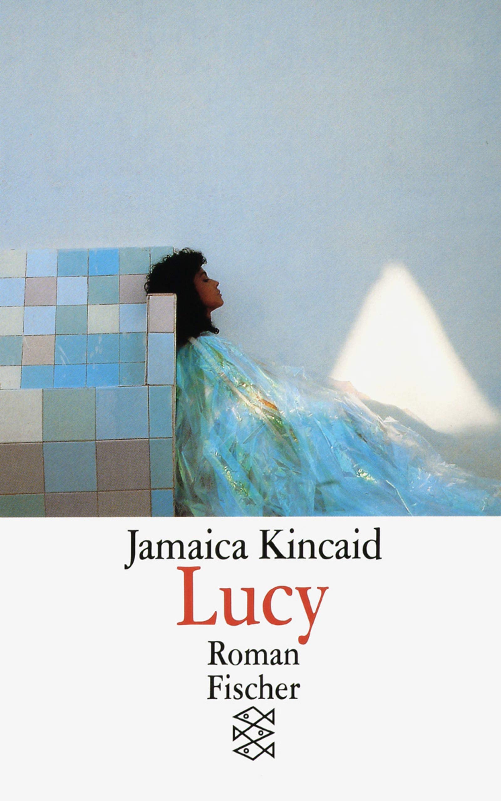 Lucy: Roman (Fischer Taschenbücher) Contemporary literature