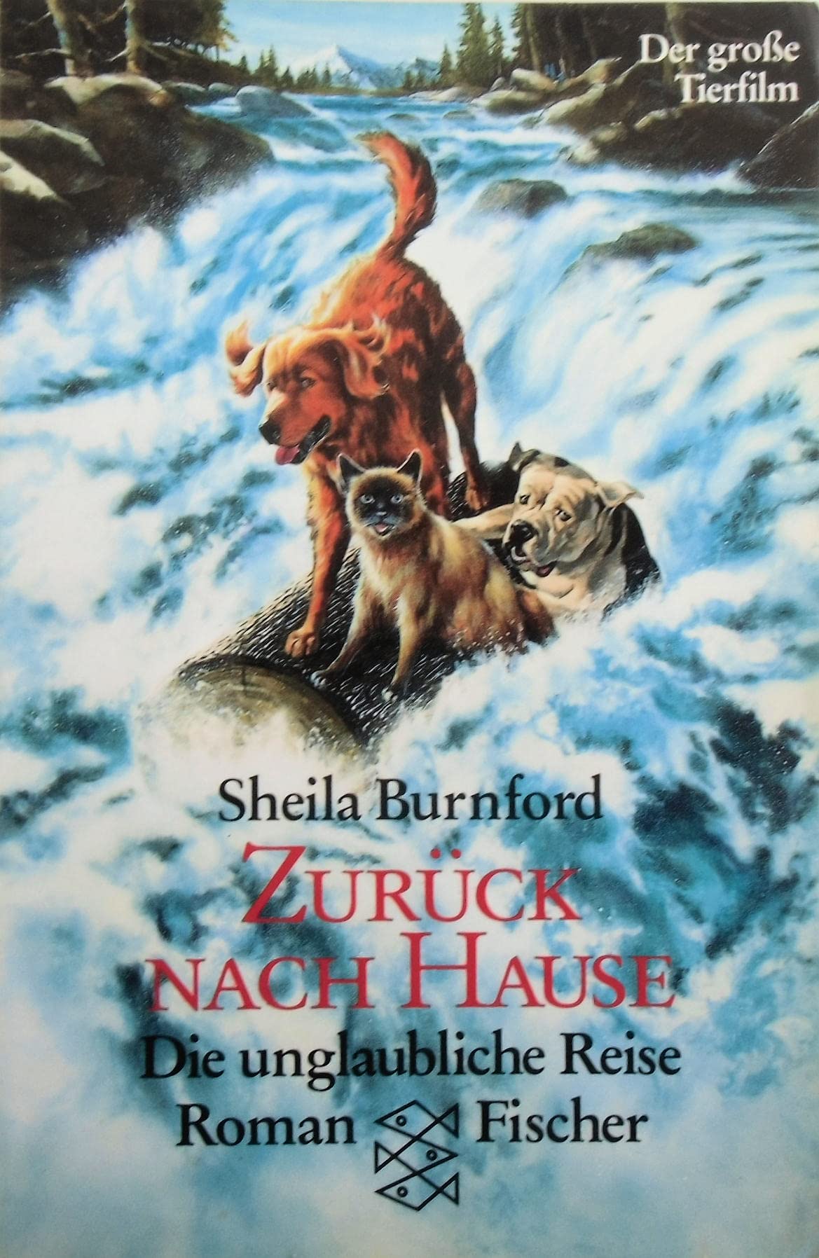 Zurück nach Hause: Die unglaubliche Reise Film, Art & Culture