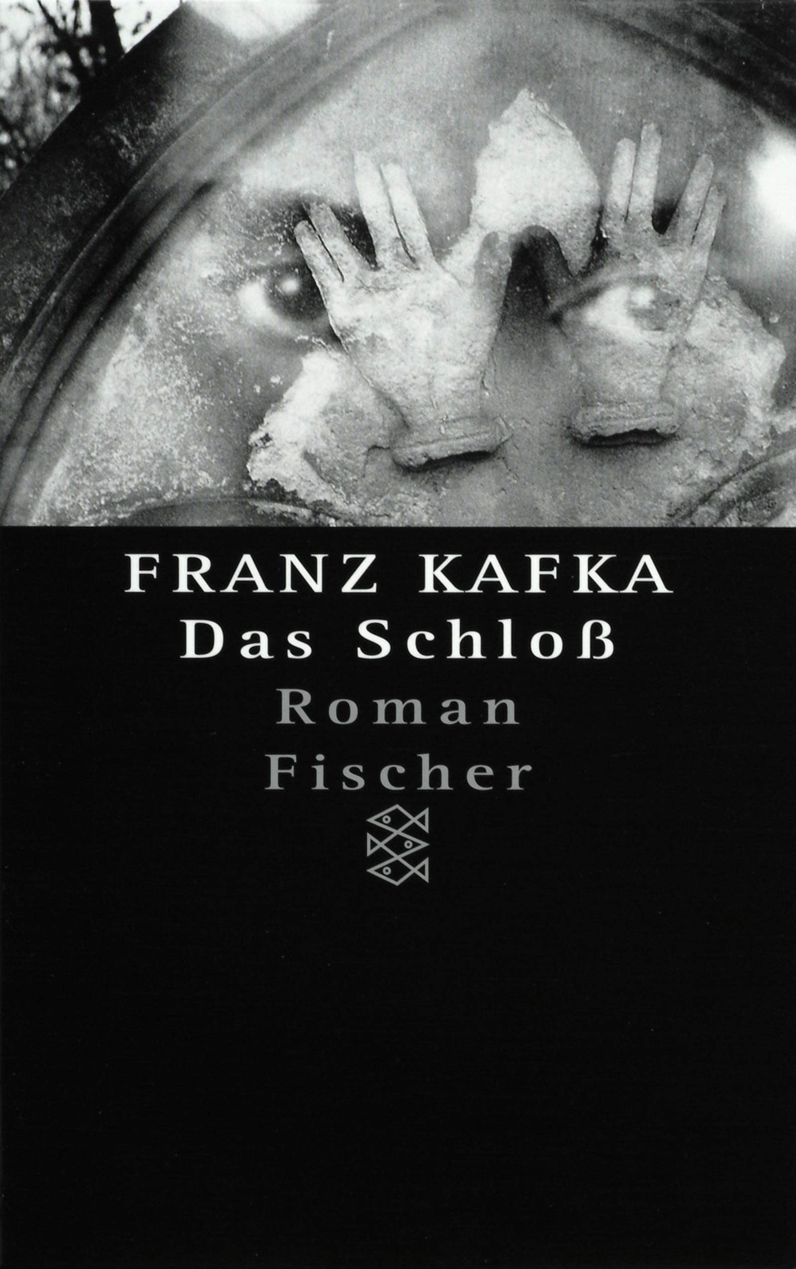 Franz Kafka - Gesammelte Werke. Nach der kritischen Ausgabe: Das Schloß: Roman (Fischer Taschenbücher) Contemporary literature Books