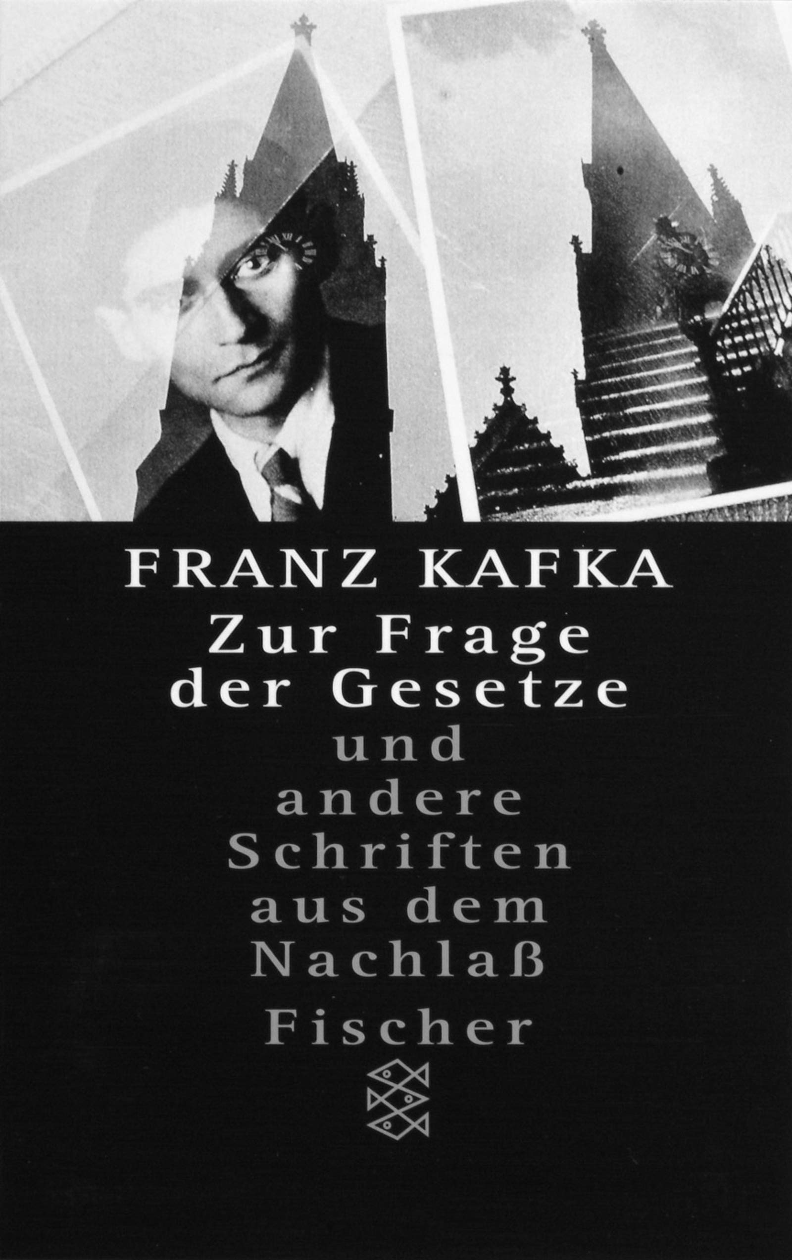 Franz Kafka - Gesammelte Werke. Nach der kritischen Ausgabe / Zur Frage der Gesetze: Und andere Schriften aus dem Nachlass: In d. Fass. d. Handschrift (Fischer Taschenbücher) Classics