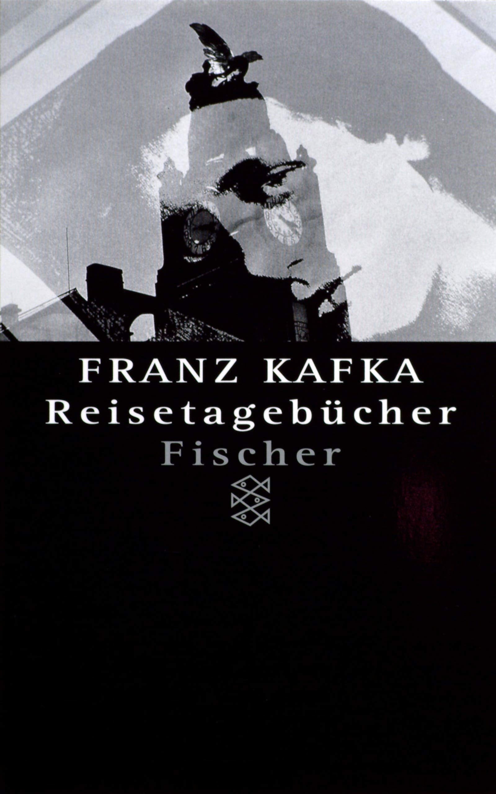 Franz Kafka - Gesammelte Werke. Nach der kritischen Ausgabe / Reisetagebücher (Fischer Taschenbücher) Essays & Short Stories