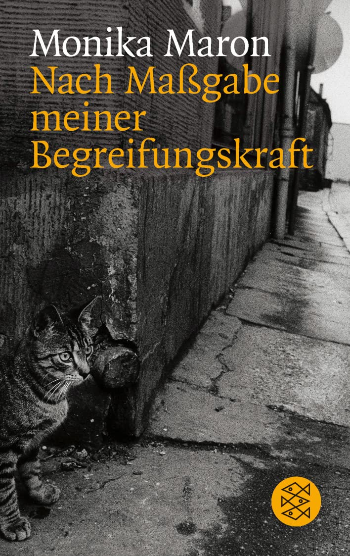 Nach Maßgabe meiner Begreifungskraft Contemporary literature