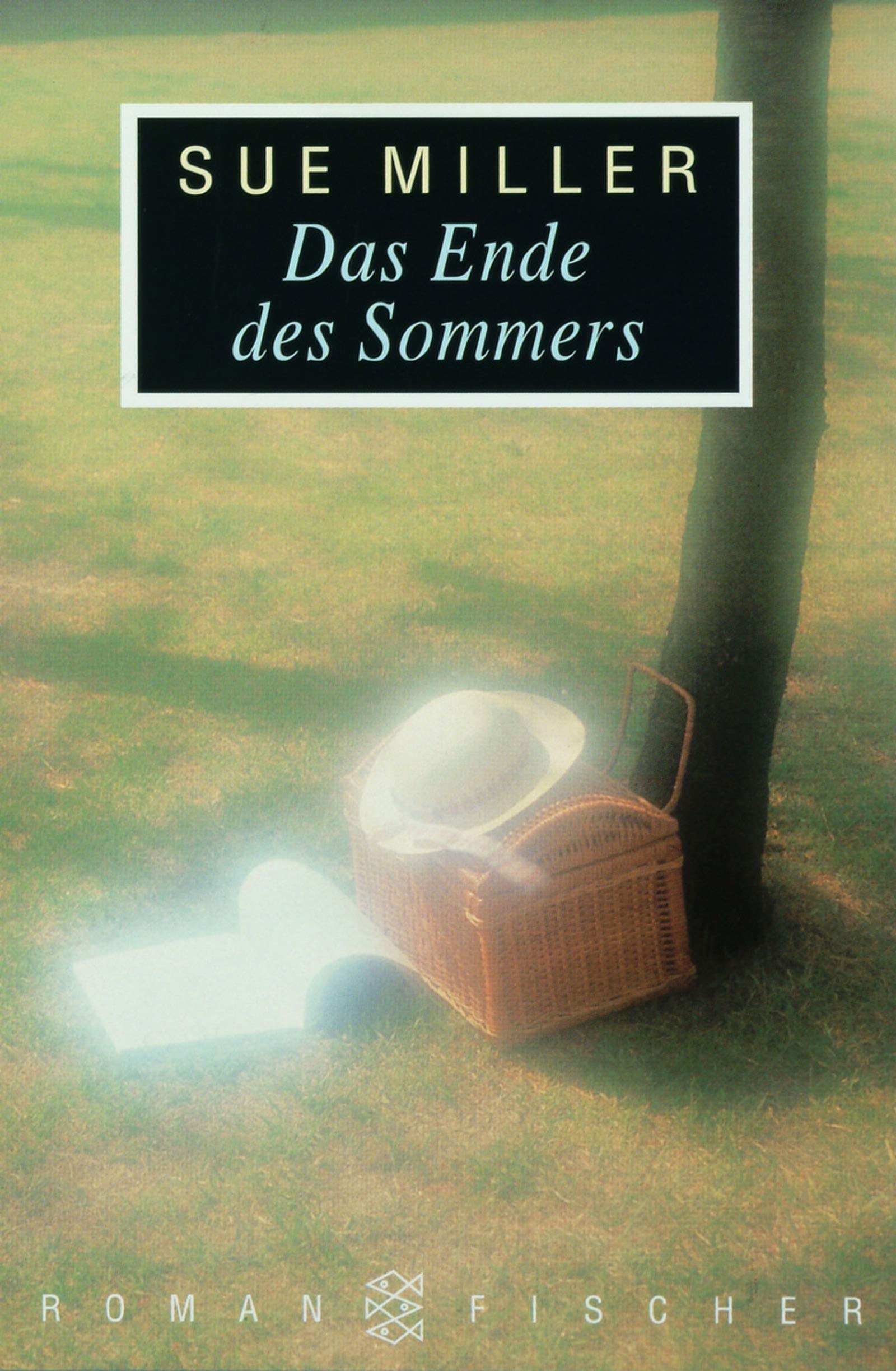 Das Ende des Sommers: Roman (Fischer Taschenbücher) Contemporary literature