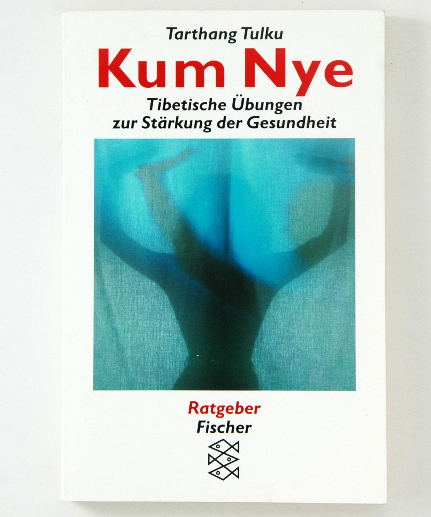 Kum Nye: Tibetische Übungen zur Stärkung der Gesundheit Health, Nutrition & Fitness