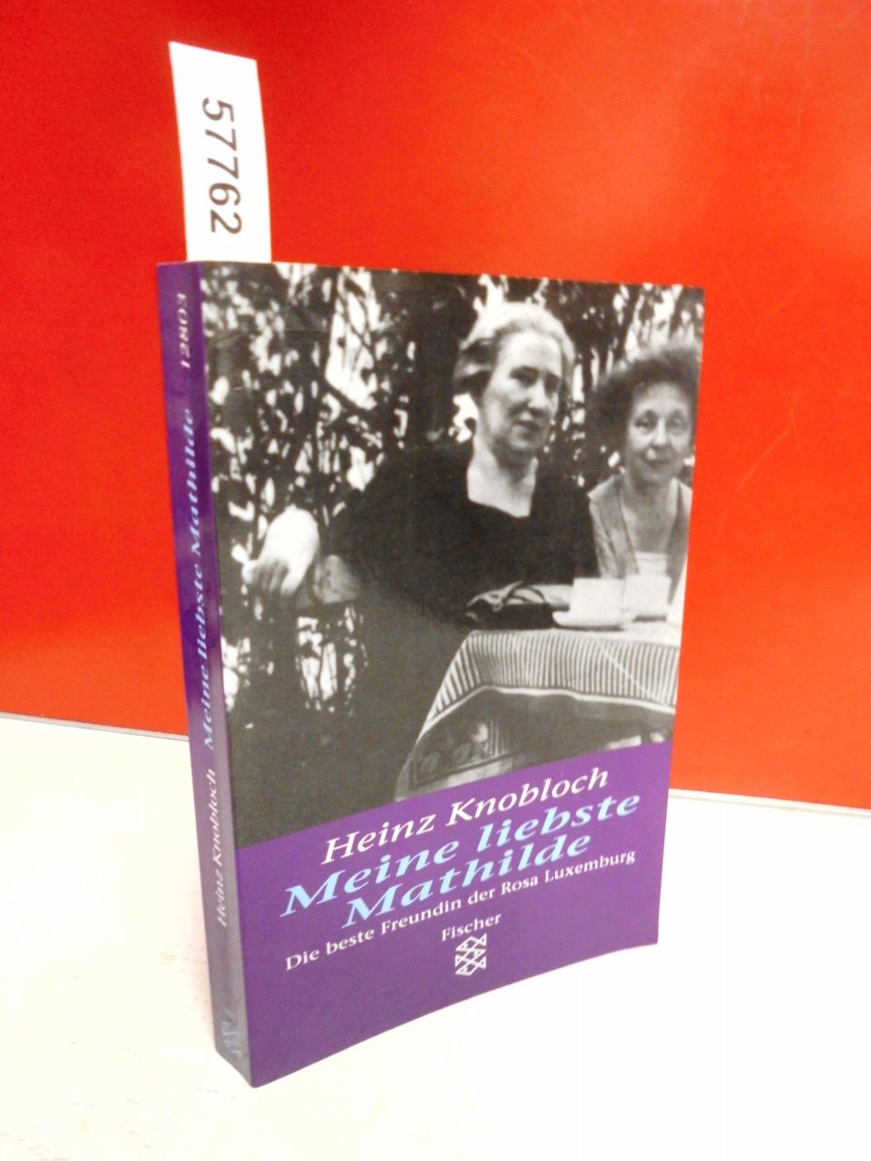Meine liebste Mathilde: Die beste Freundin der Rosa Luxemburg Politics & Society