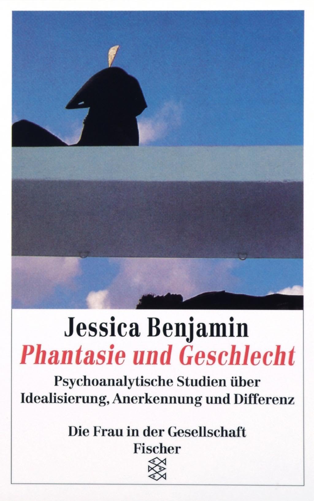 Phantasie und Geschlecht Contemporary literature Books